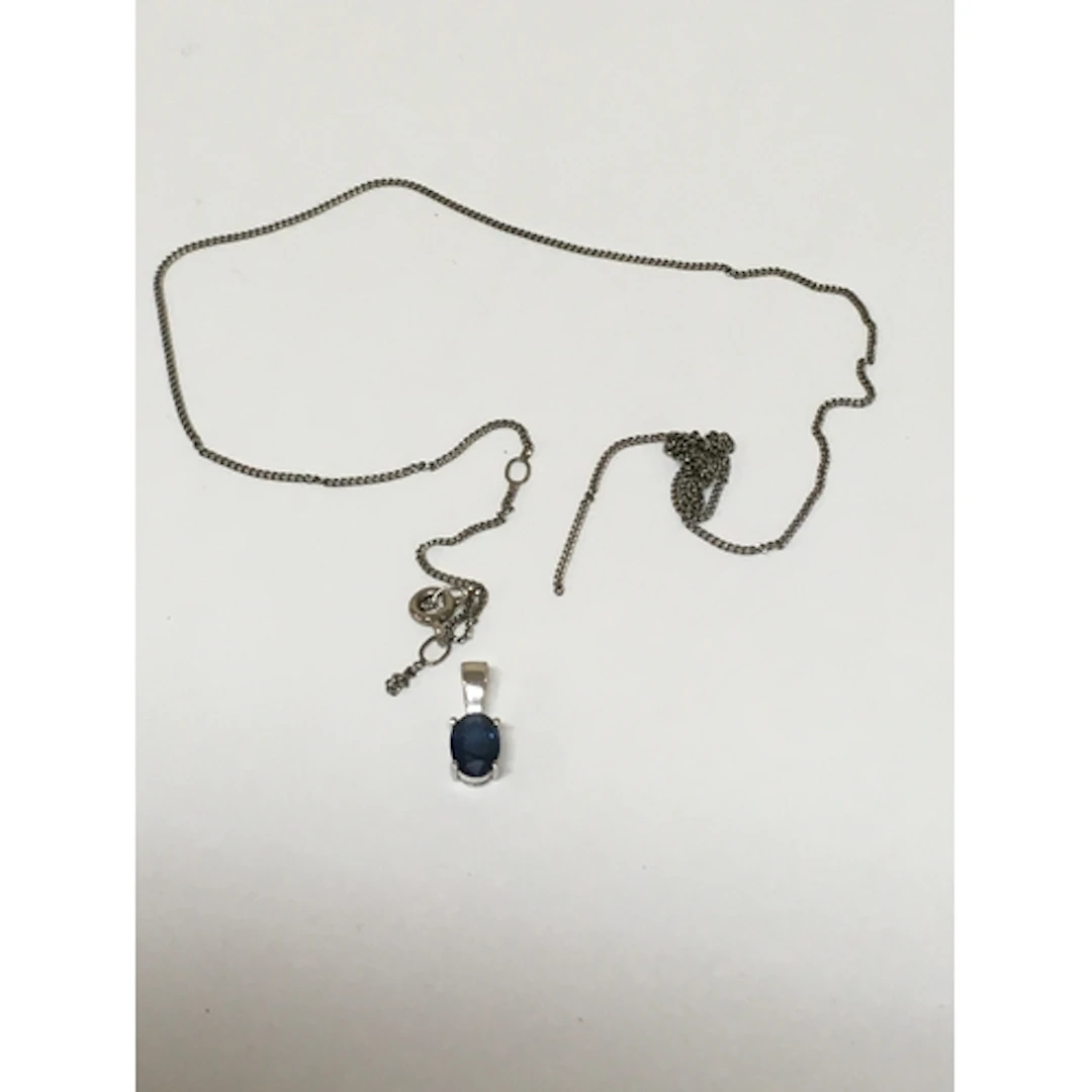 Silver Chain (A/P) Carat White Gold pendant with inset Sapph...