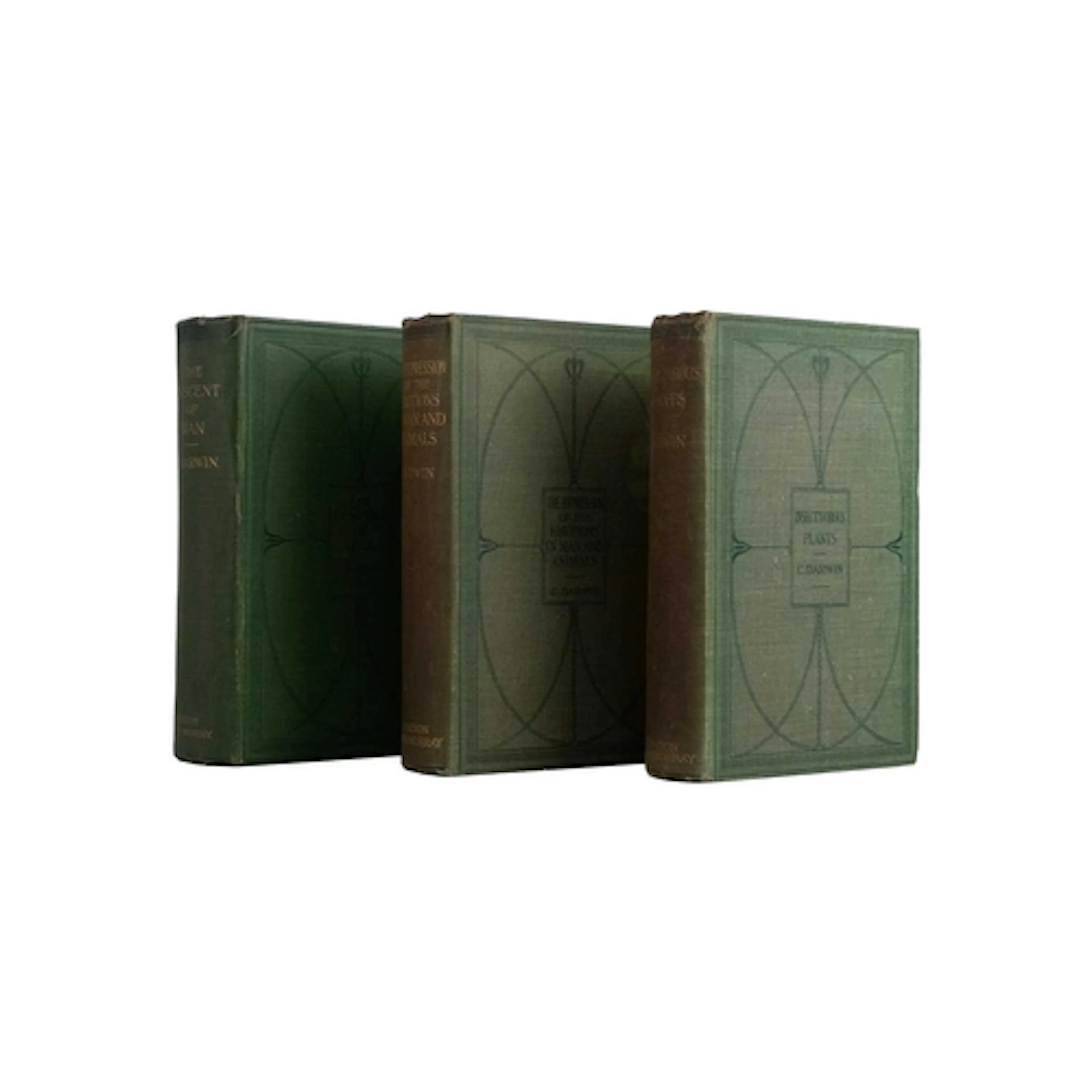 Charles Darwin. The Descent of Man New Edition, John Murray,...