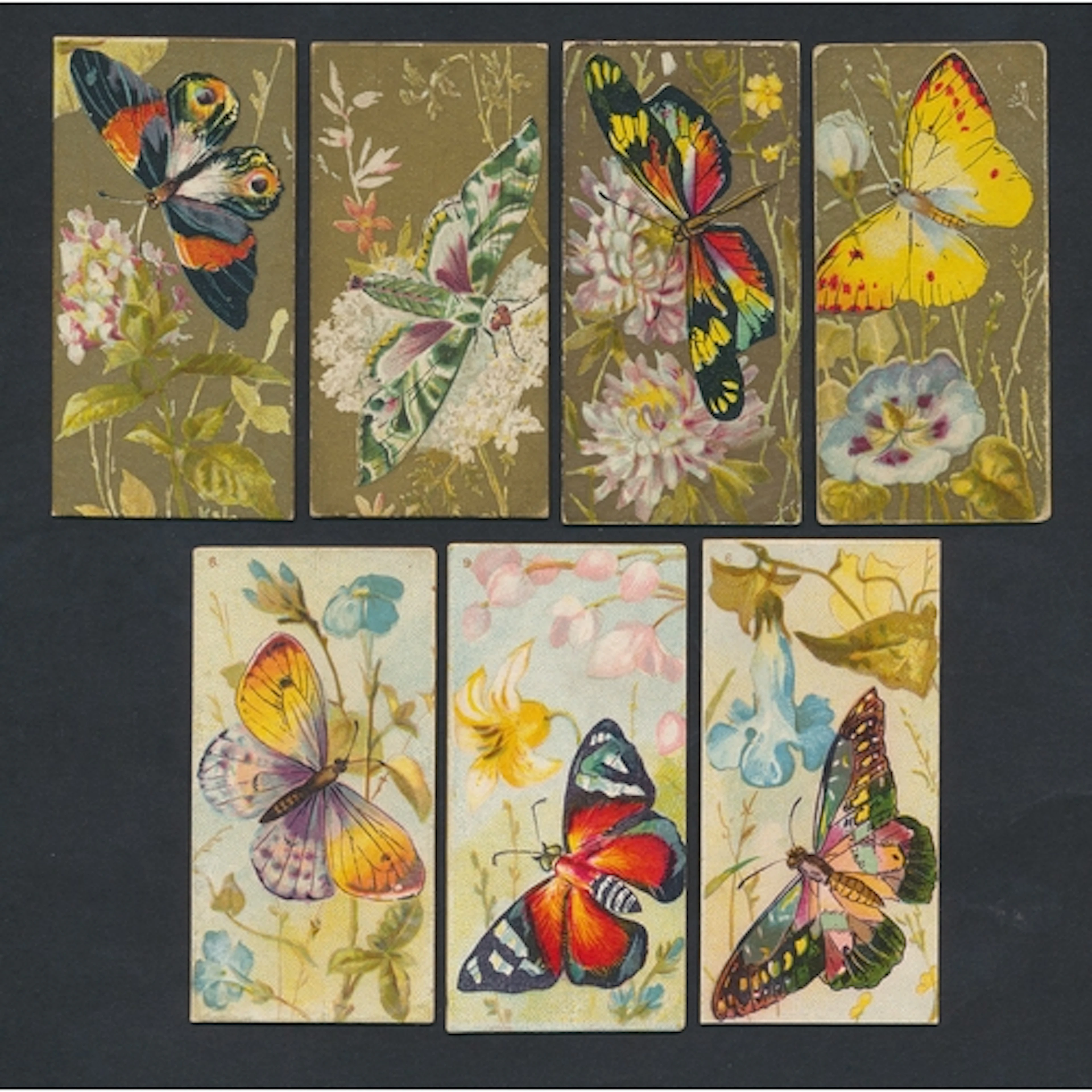 Collection in 4 albums with majority butterfly theme includi...