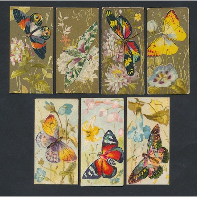 Collection in 4 albums with majority butterfly theme includi...
