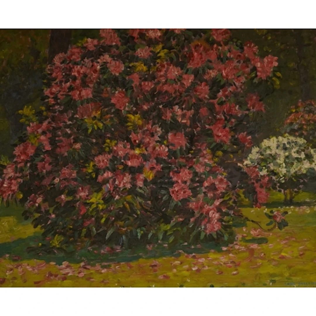 Louis Augustus Sargent, 'Pink Rhododendron, Hyde Park', sign...