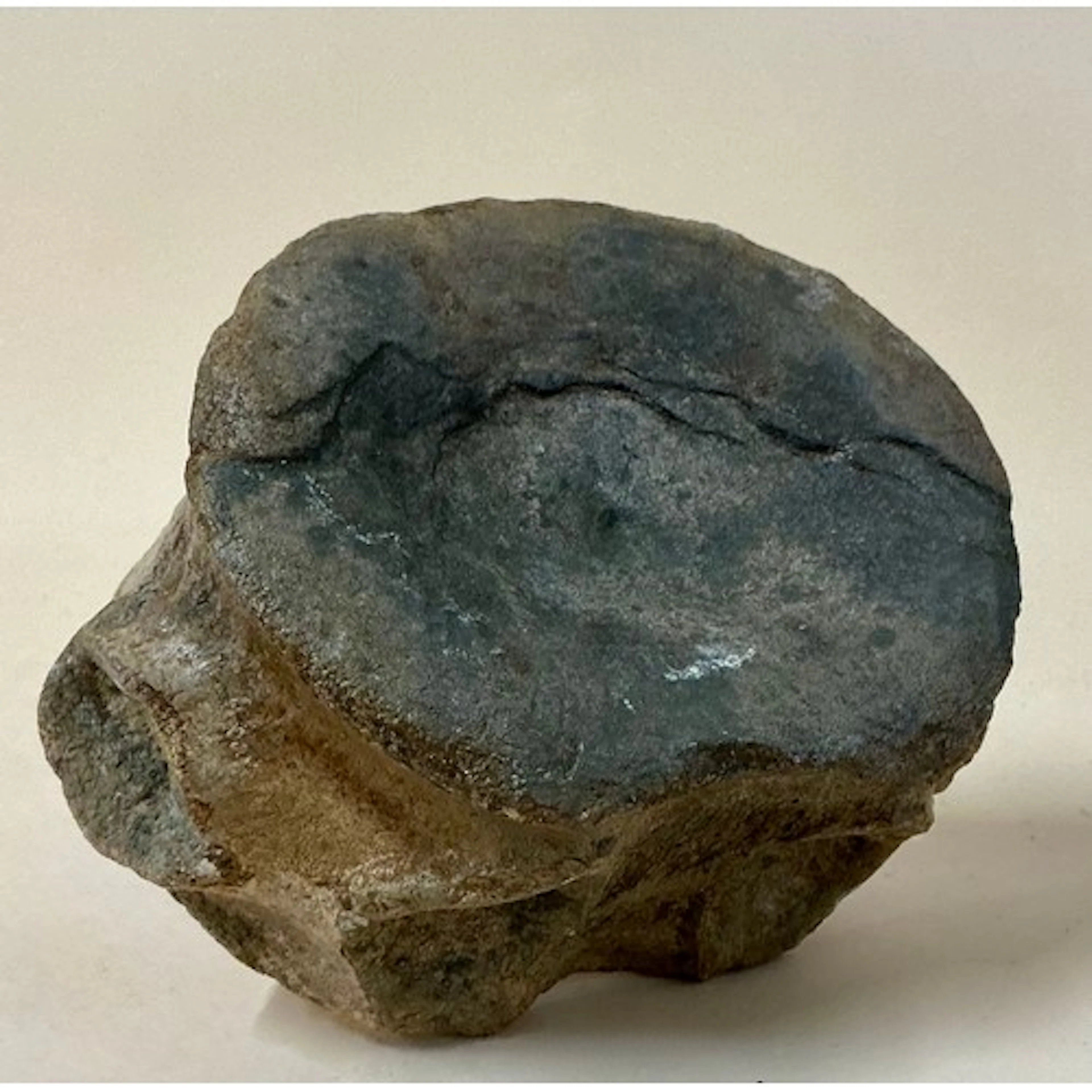 A British Upper Jurassic Period Pliosaurus dinosaur vertebra...