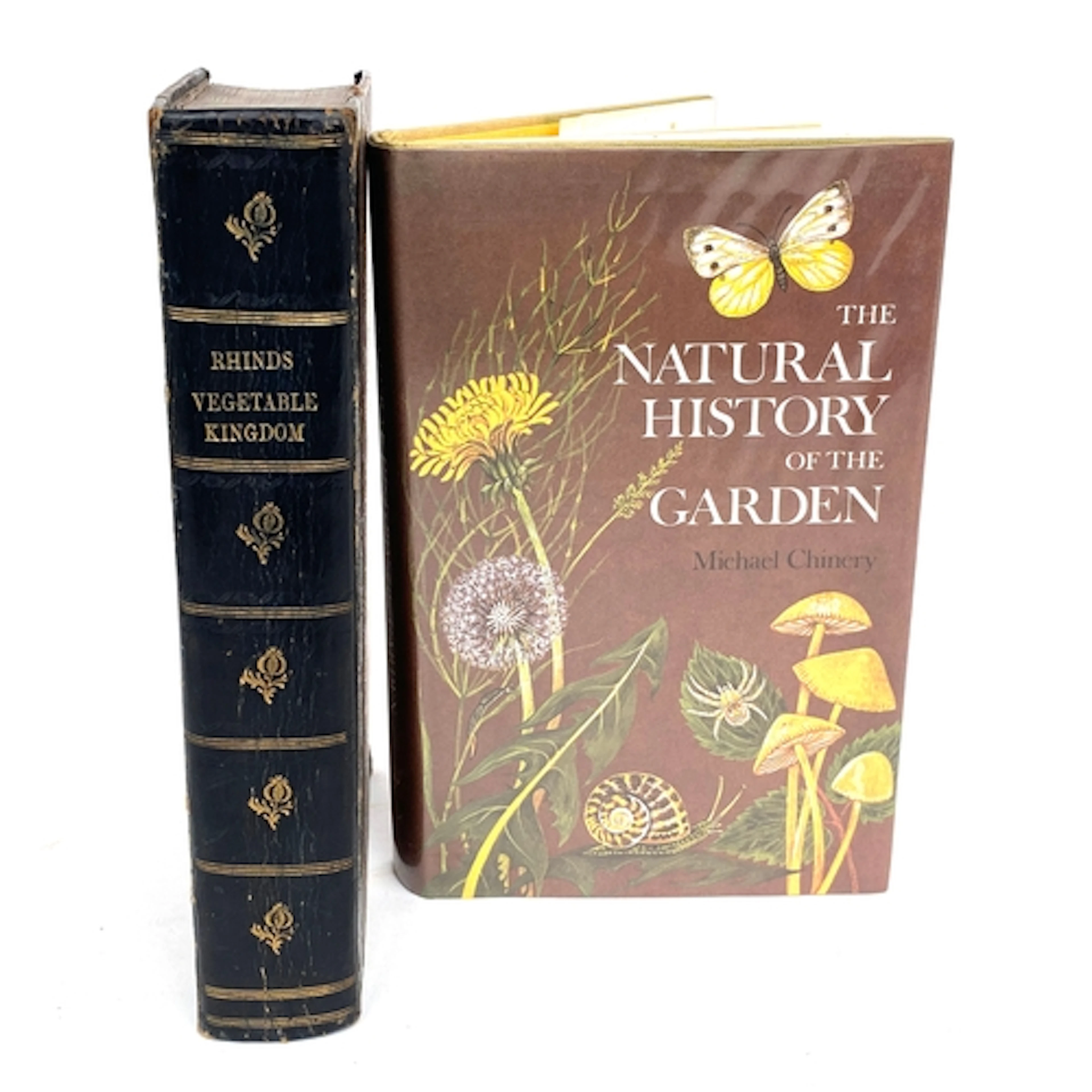 BOOKS, NATURAL HISTORY. RHIND, William, 'A History of the Ve...