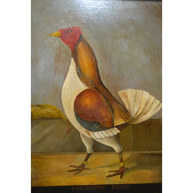 Jill Harding, oil on board, study of a fighting cock, Cheshi...