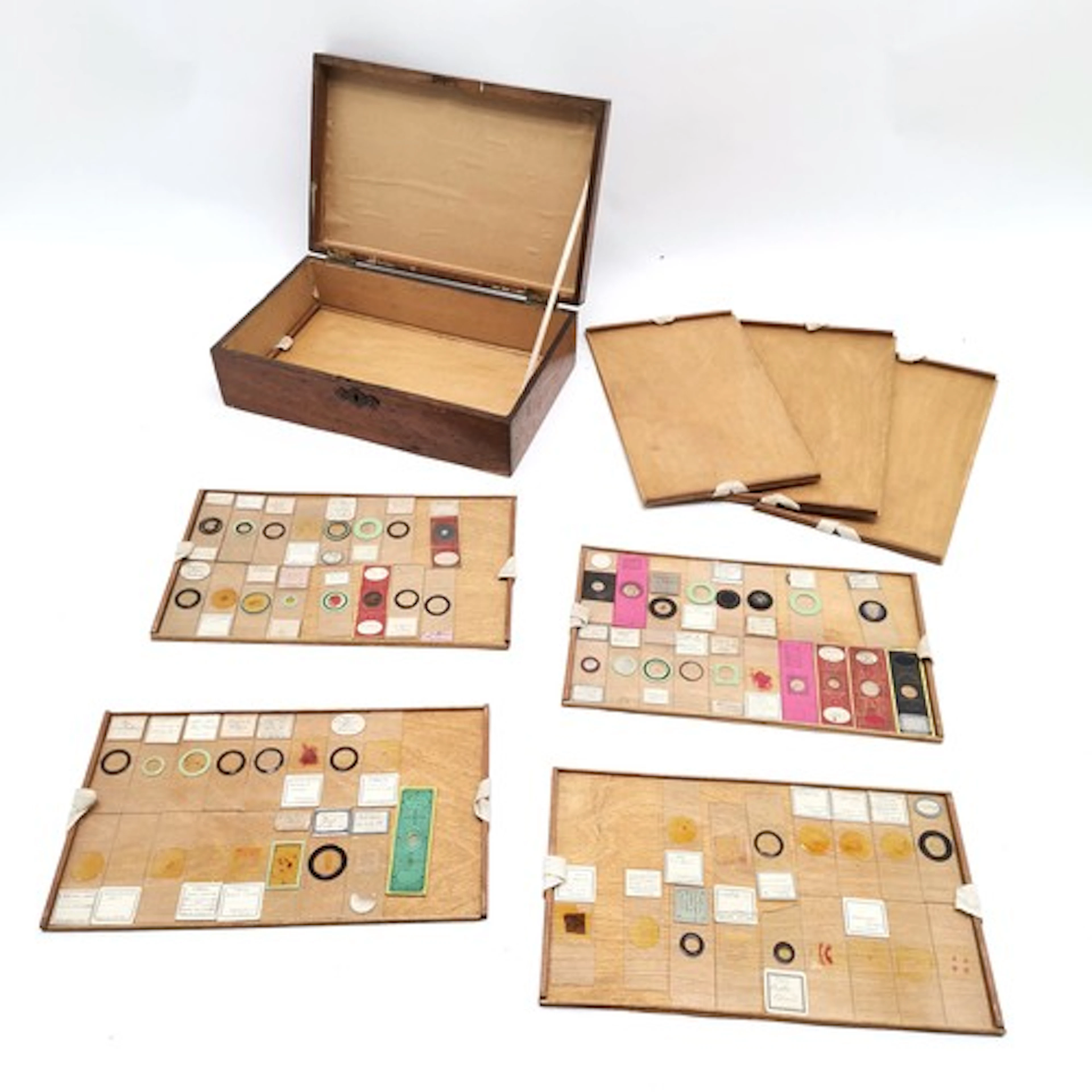 Antique oak boxed trays of microscope slides 67 in total - b...