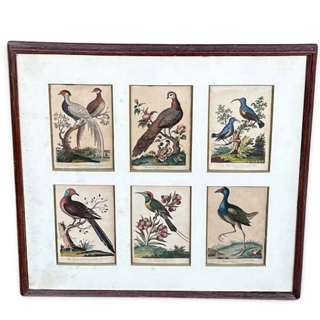 SIX 18TH CENTURY HAND COLOURED ORNITHOLOGICAL PRINTS 55cm x ...