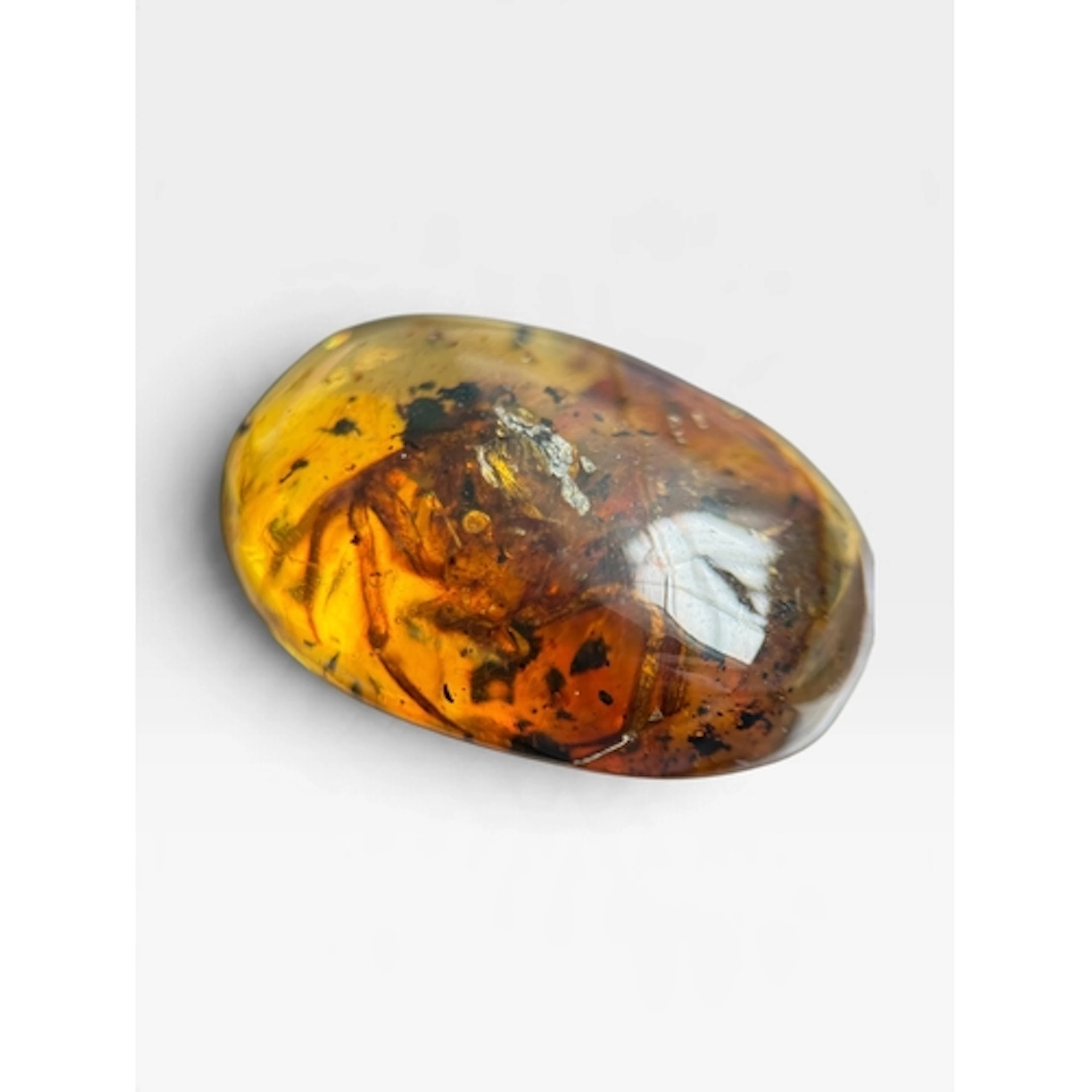 A SPIDER FOSSIL IN AMBER A highly detailed and large spider ...