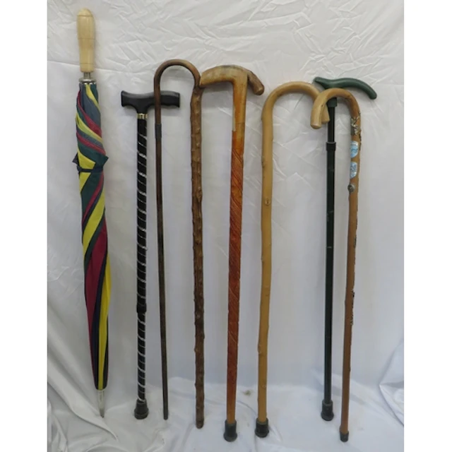 7 Walking Stick & Golfing Umbrella (8)
