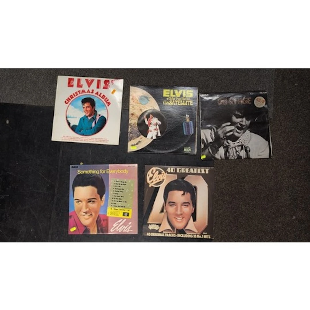 A group of Elvis Presley record albums in pictorial sleeves,...