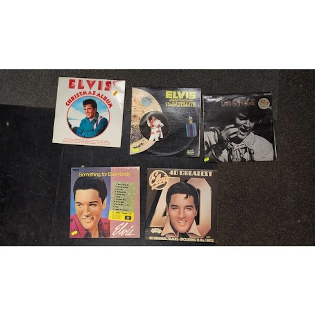 A group of Elvis Presley record albums in pictorial sleeves,...
