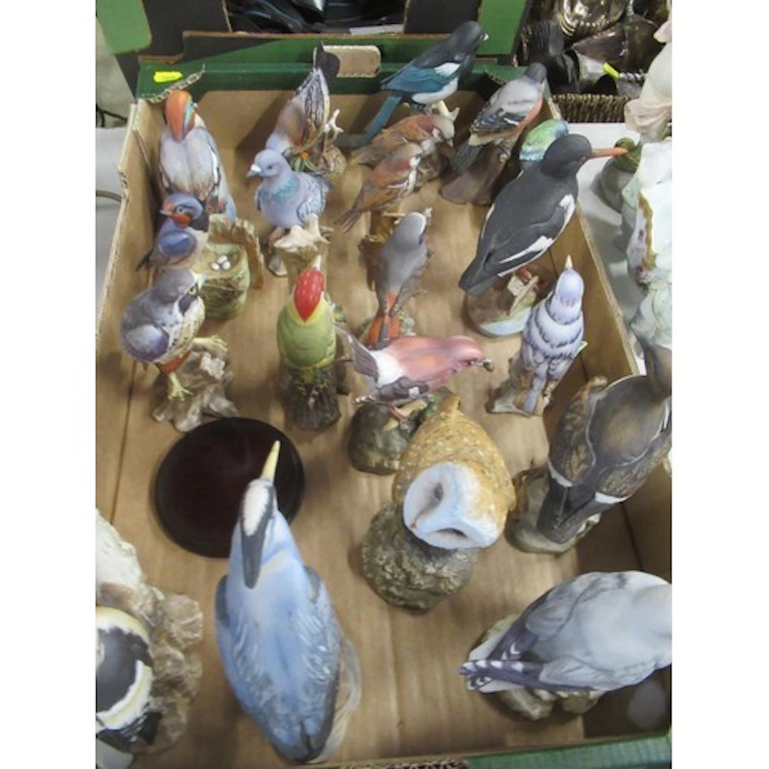 A collection of continental model birds