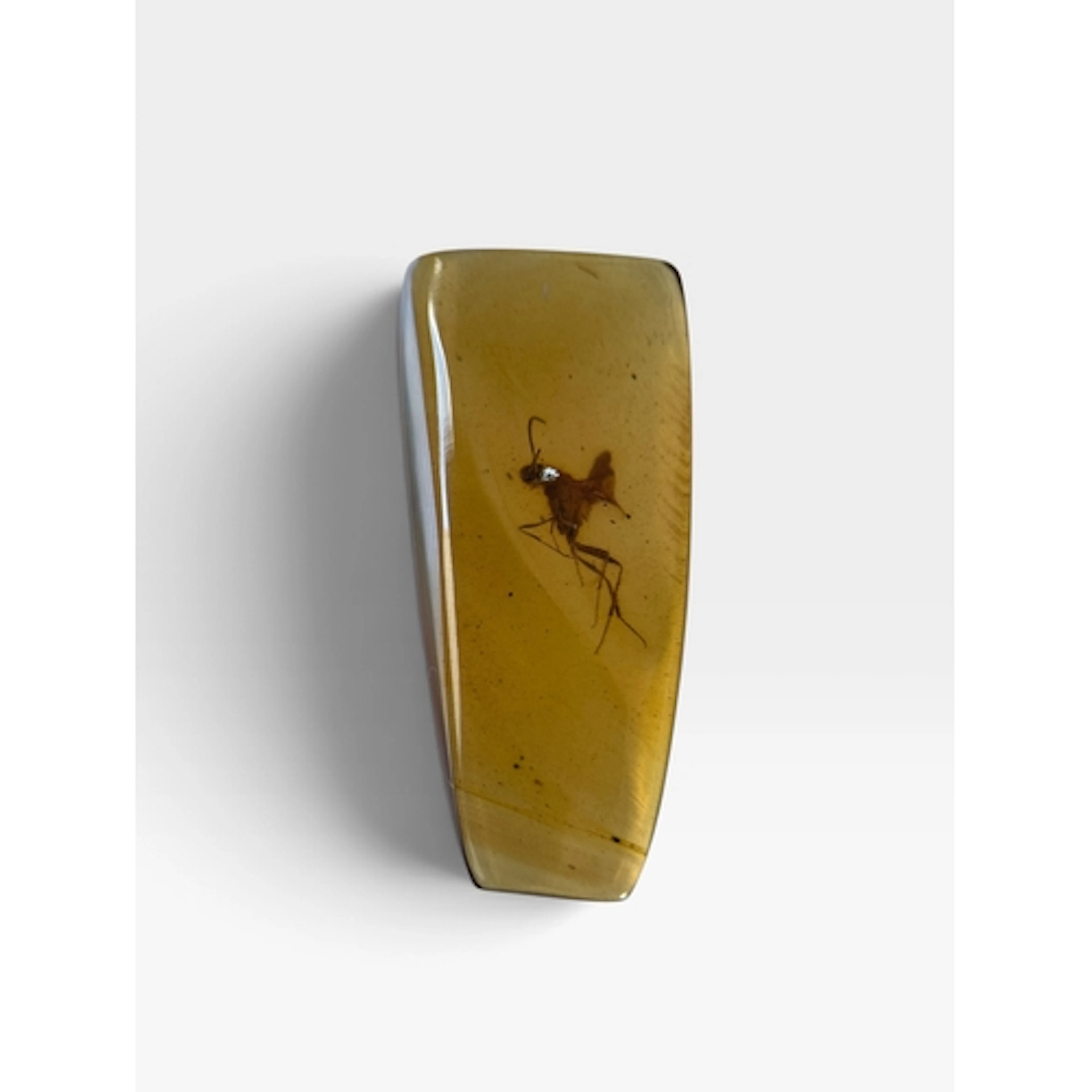 A FLYING INSECT FOSSIL IN AMBER A highly detailed flying ins...