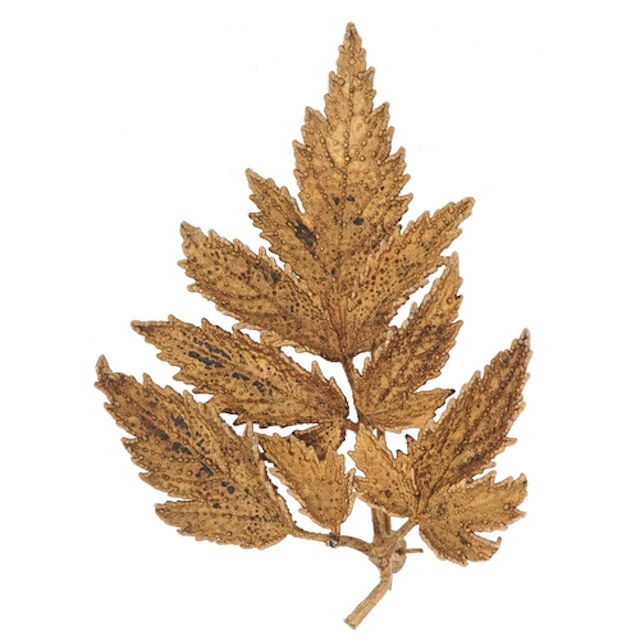 Orla Eggert, a Danish silver gilt leaf design brooch, 6.5cm ...
