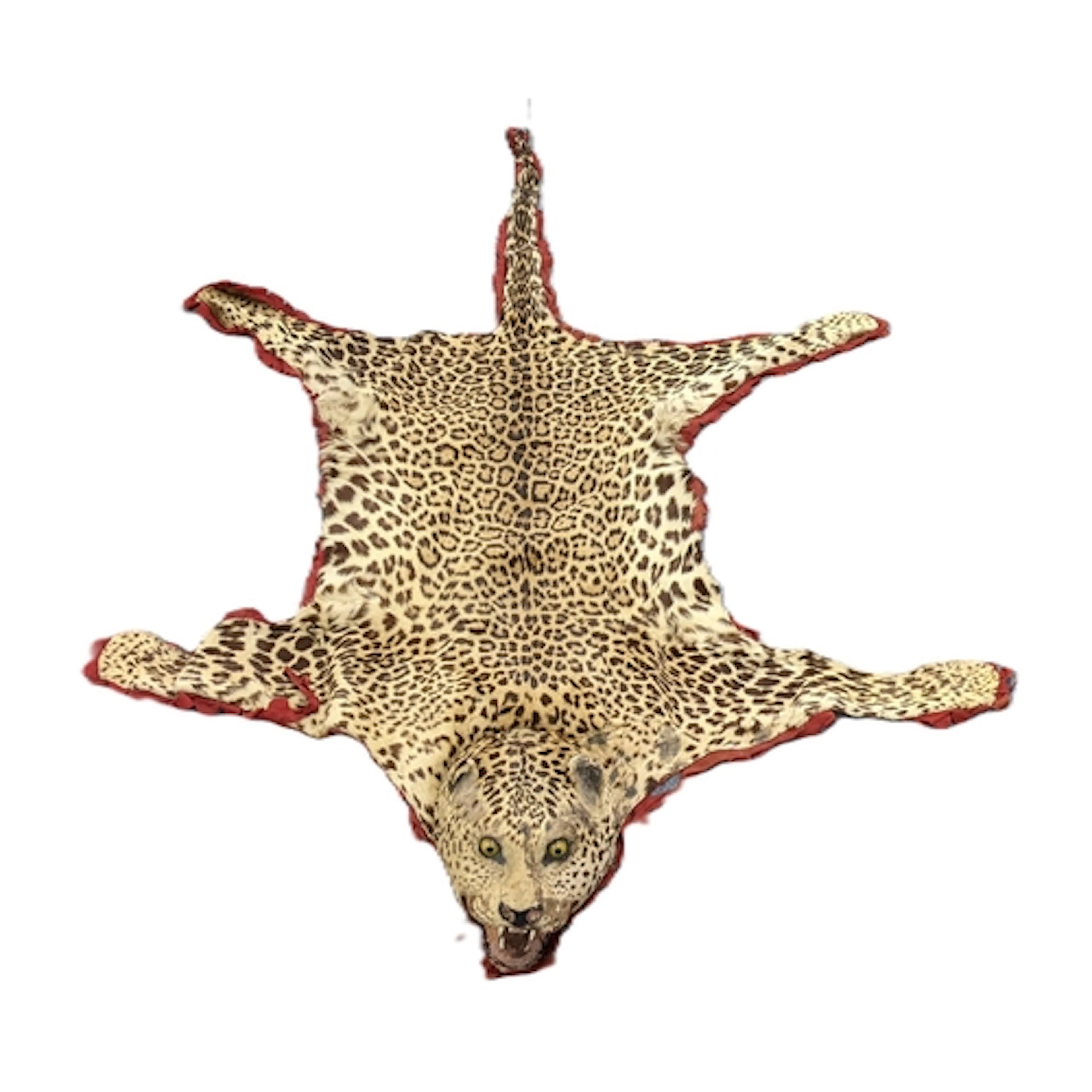 Taxidermy Interest: A Victorian taxidermy leopard skin rug, ...