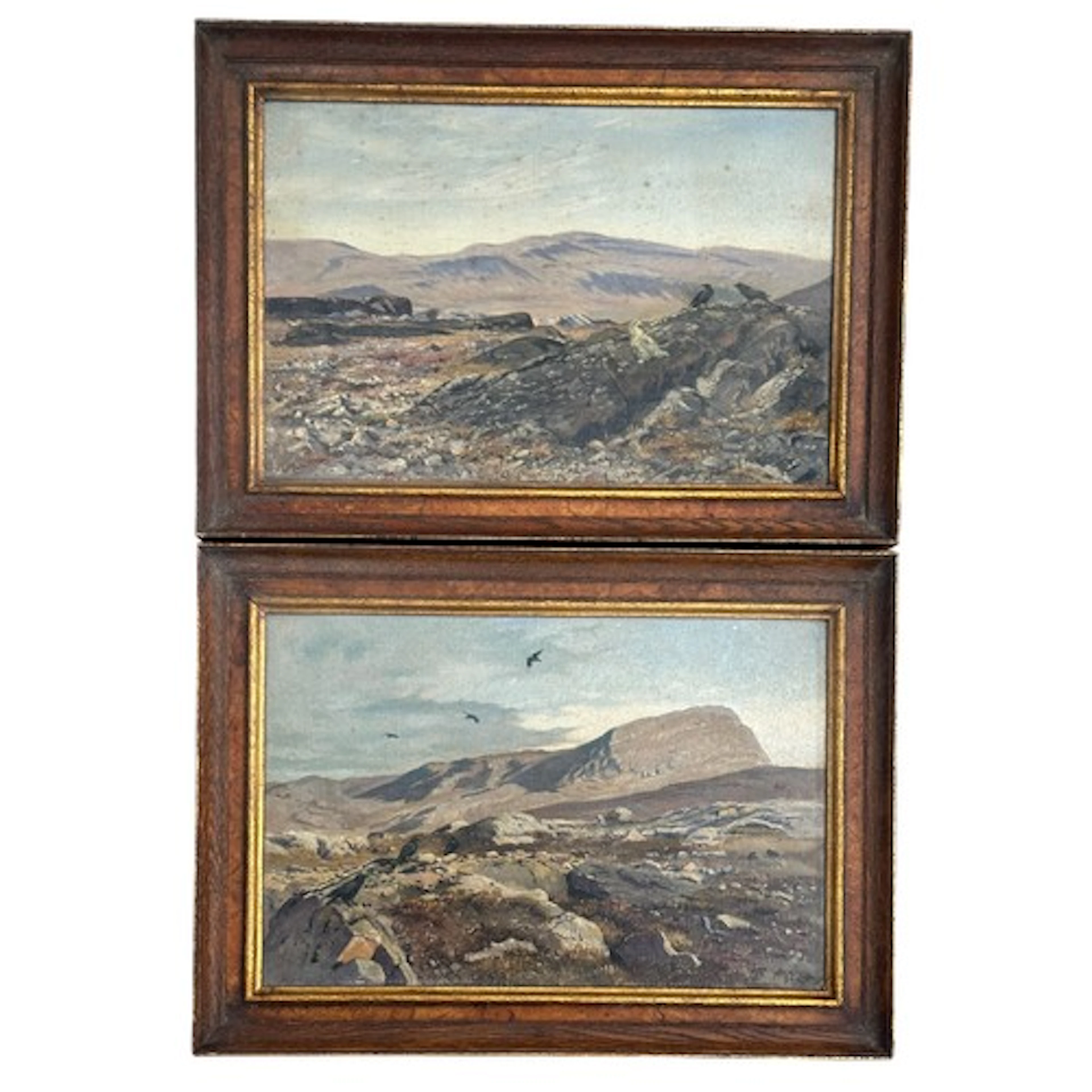 George Edward Lodge (British, 1860-1954) A pair of oils on b...