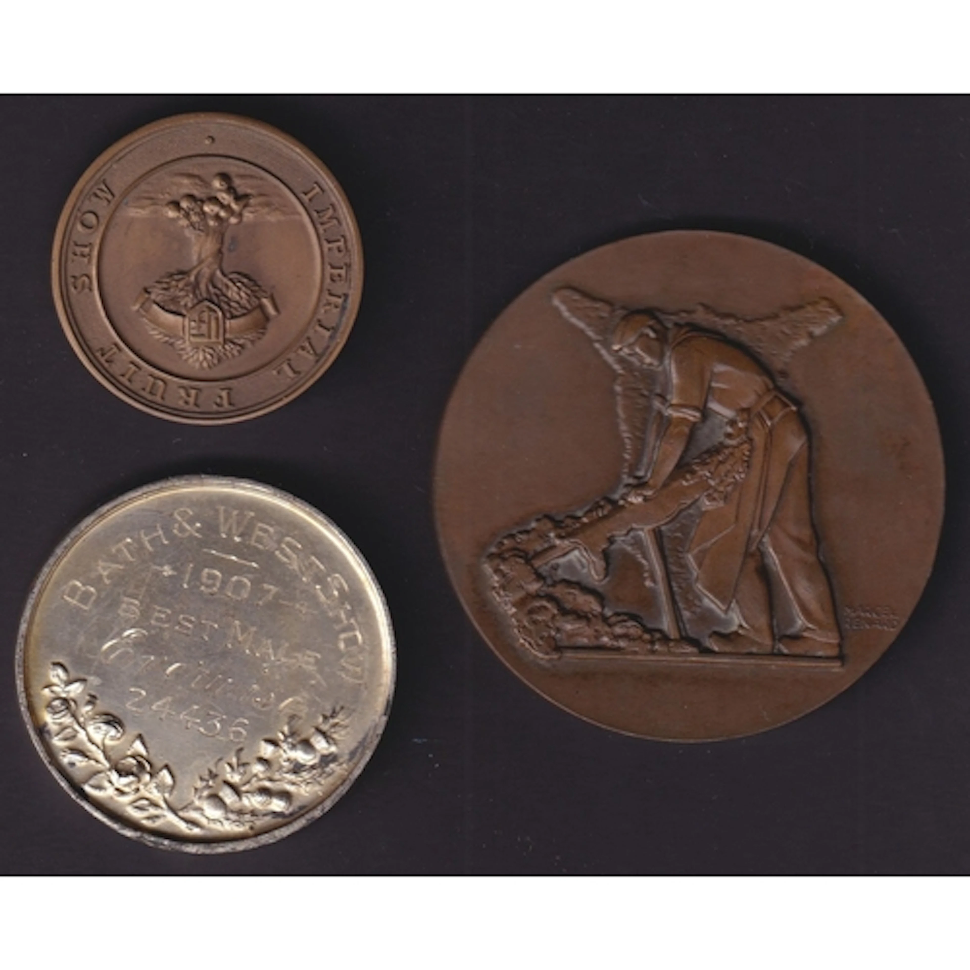 A group of three medallions, comprising a 1907 Bath and West...