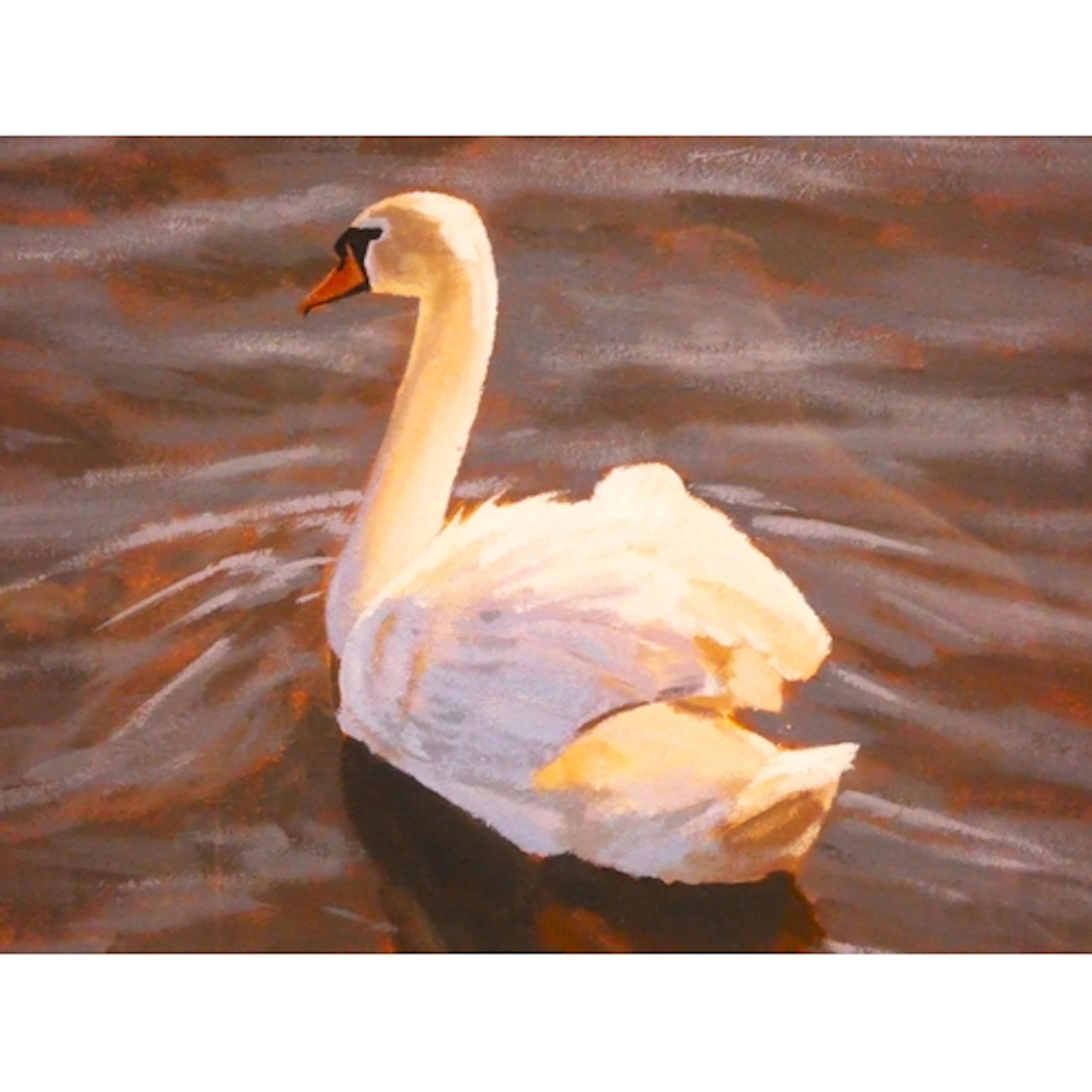 John Threlfall SWLA, British B.1958. Mute Swan. Acrylic. Sig...