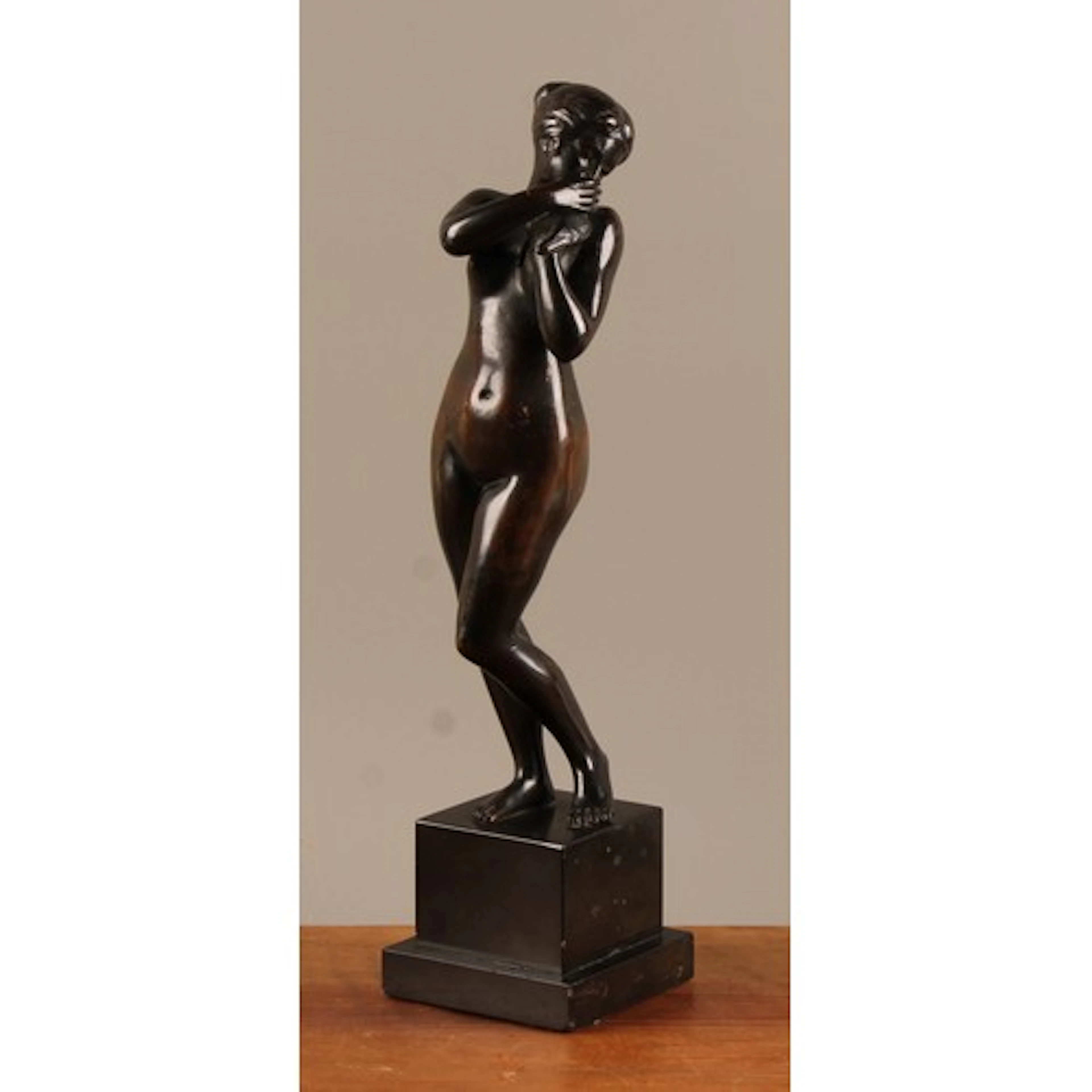 Continental School (19th century), a dark patinated bronze, ...