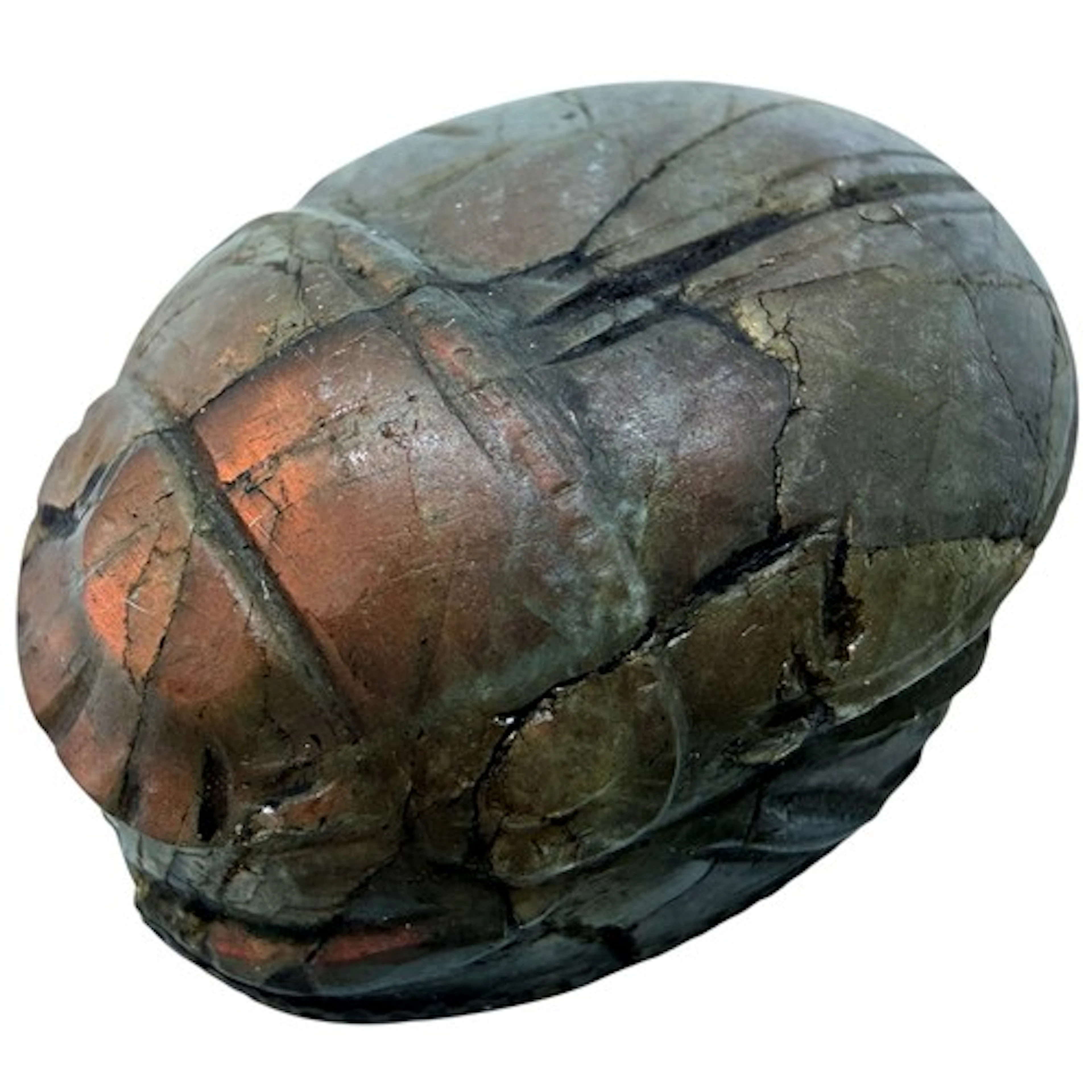 A carved labradorite scarab, the reverse engraved as an inta...