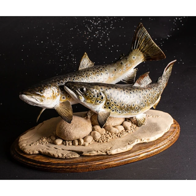Peter Lowerson. A large fish sculpture of two Brown Trout, s...
