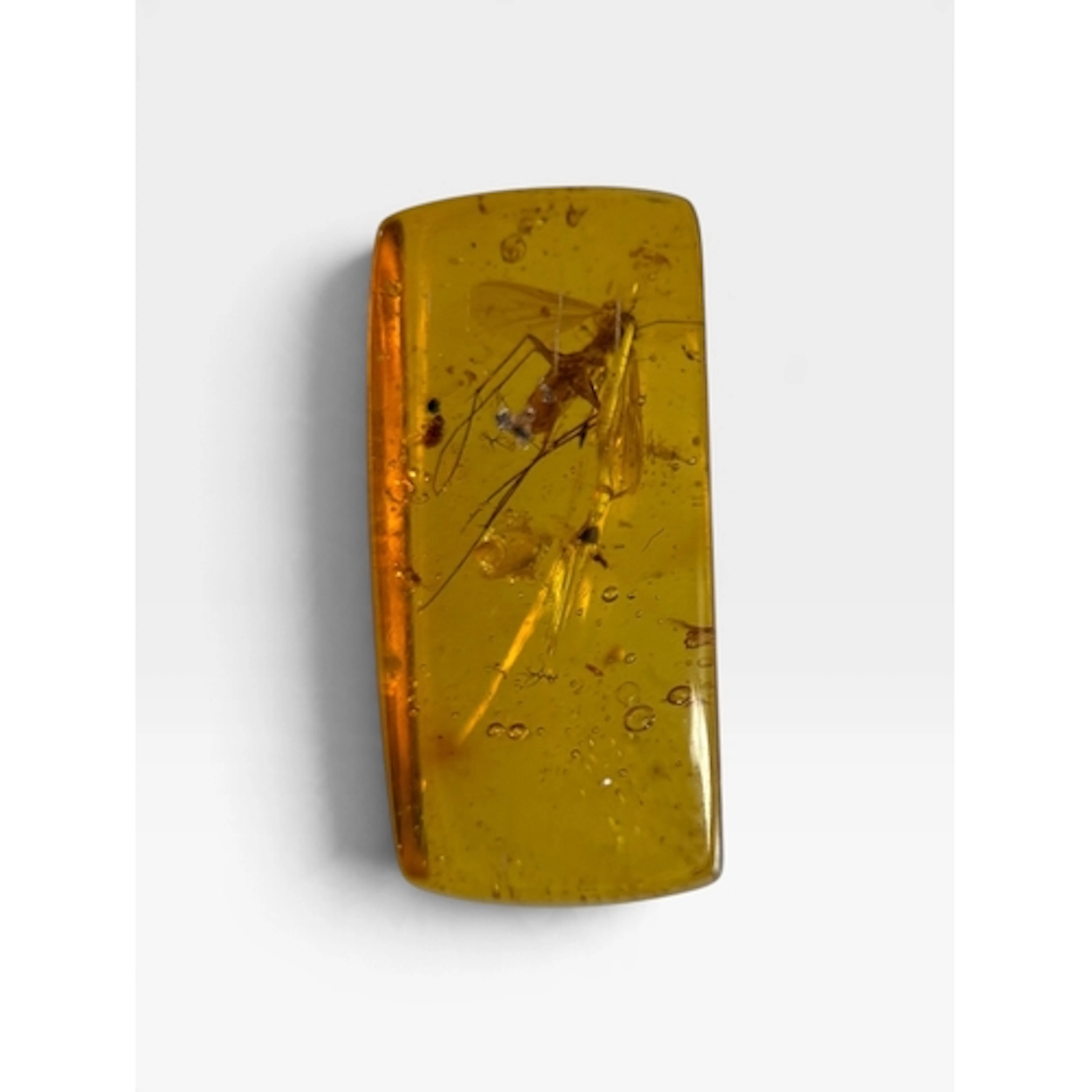 A FLYING INSECT FOSSIL IN AMBER A highly detailed flying ins...