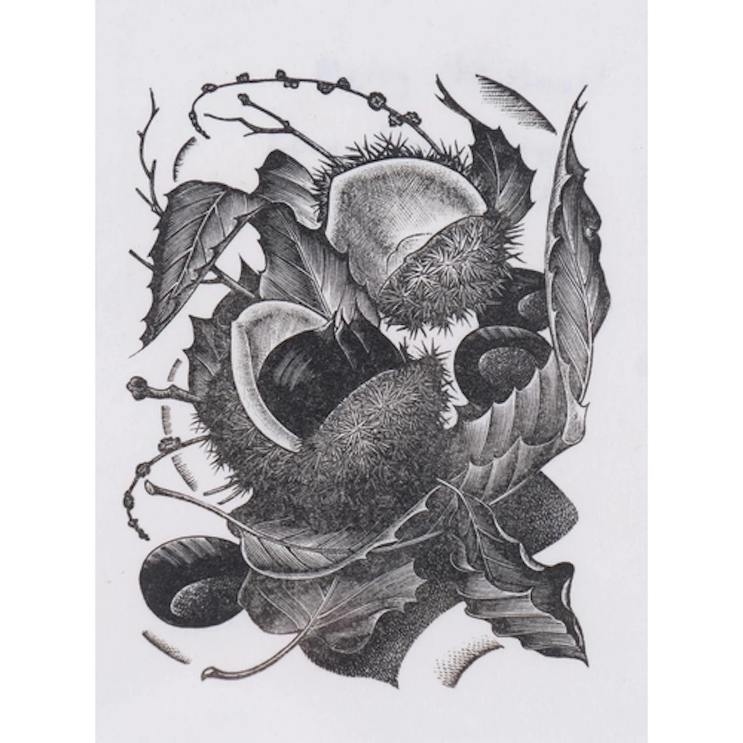 George Mackley (1900-1983), wood engraving on paper, Chestnu...