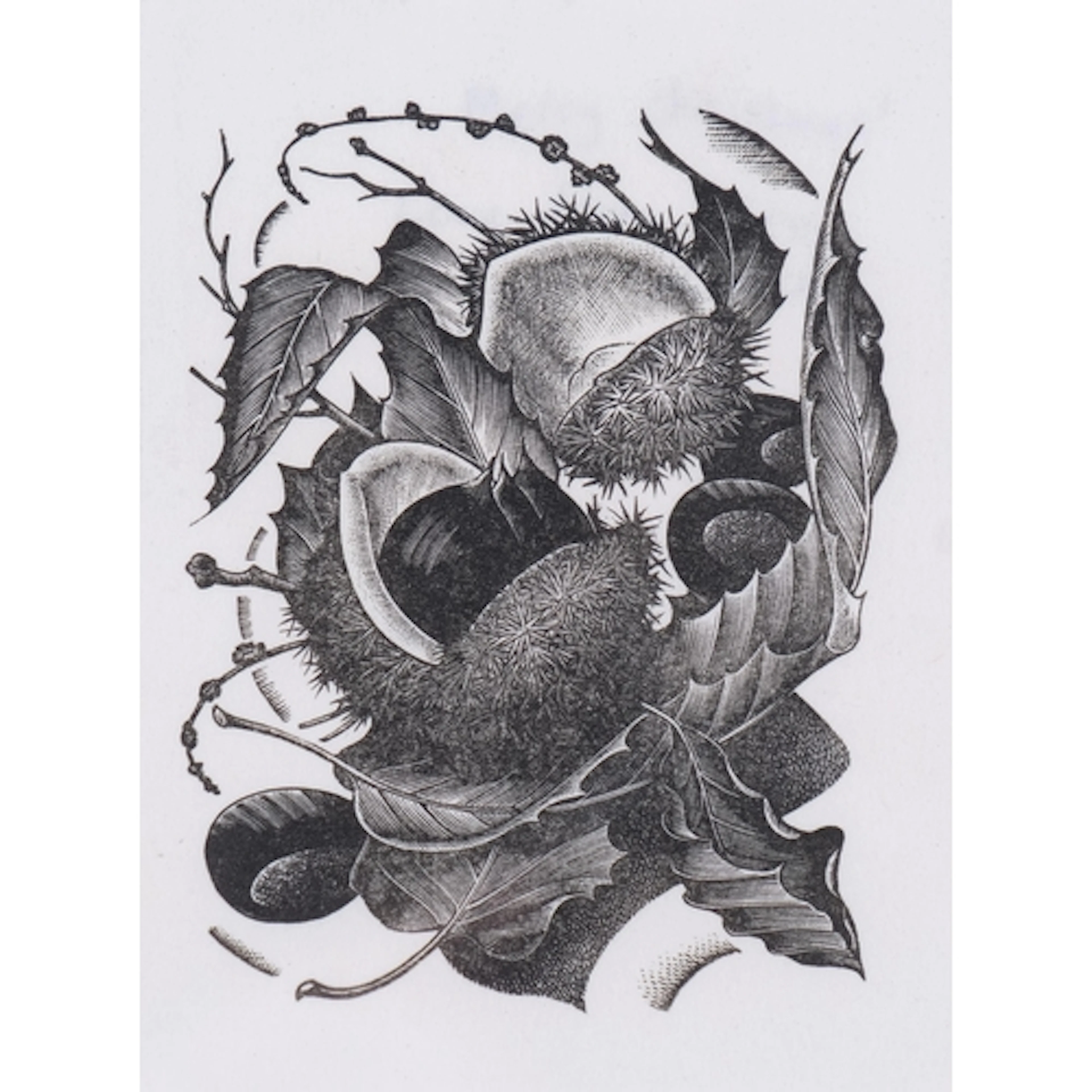 George Mackley (1900-1983), wood engraving on paper, Chestnu...