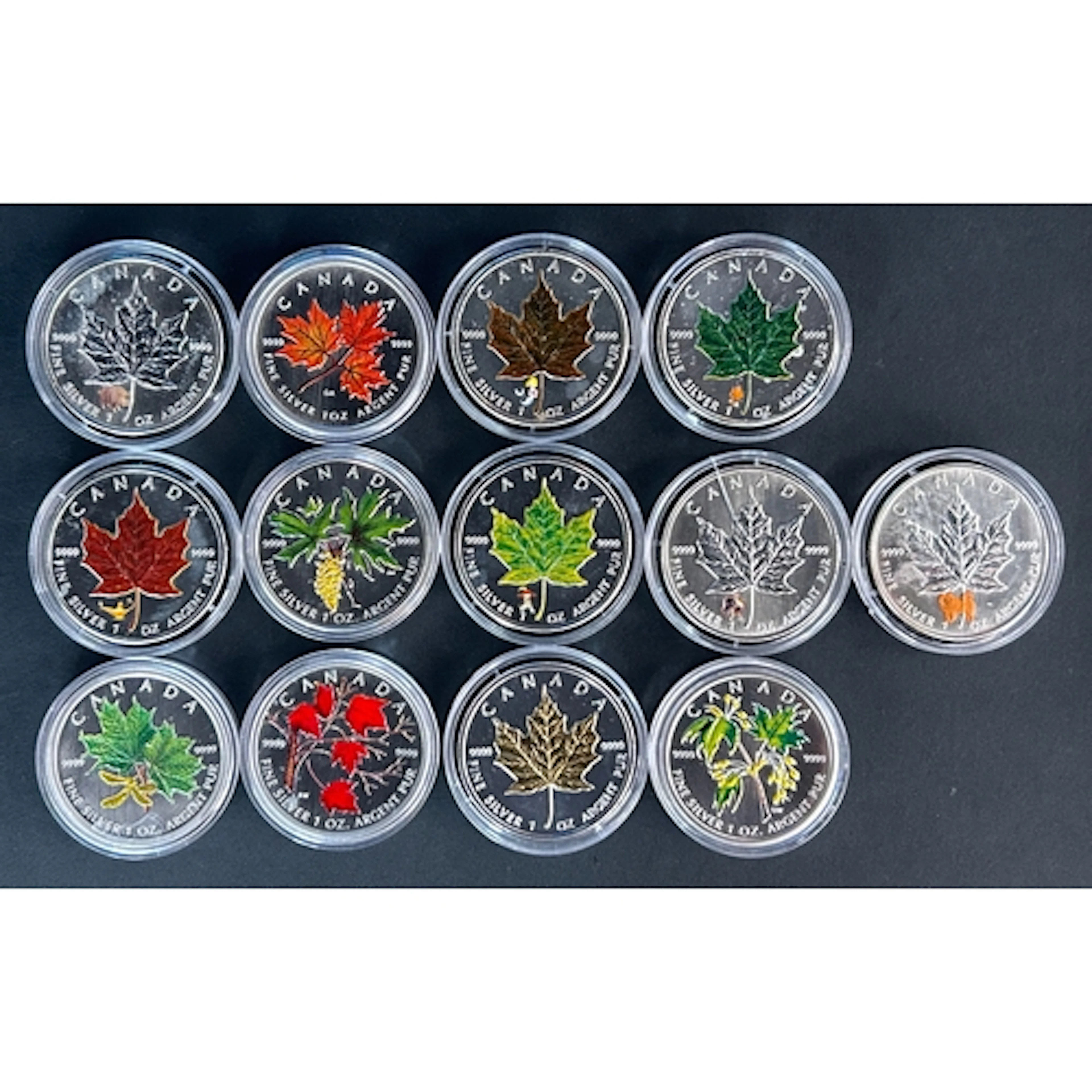 A group of thirteen Canadian 1oz silver Maple $5 coins, date...