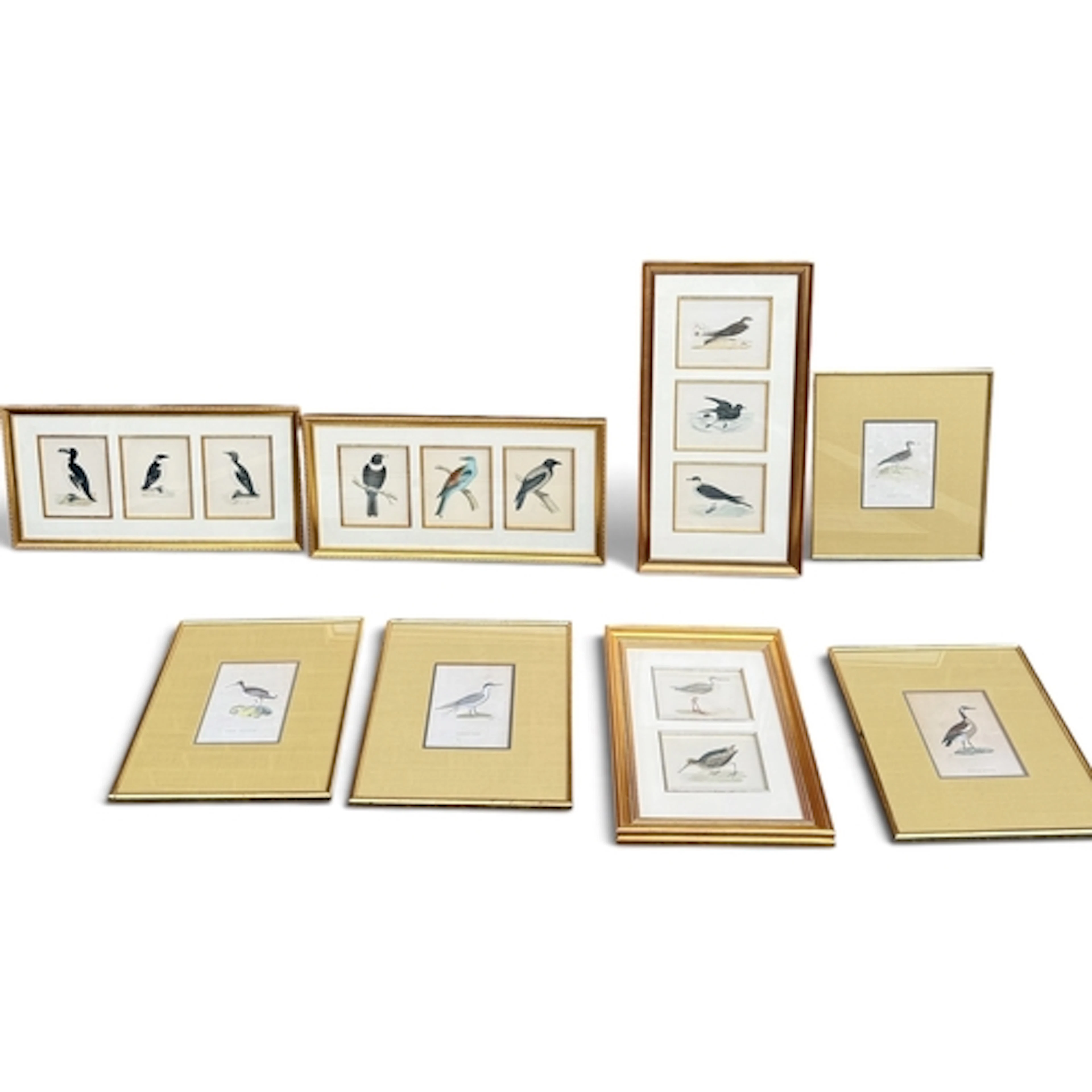A COLLECTION ORNITHOLOGICAL BIRD PRINTS Each framed and glaz...