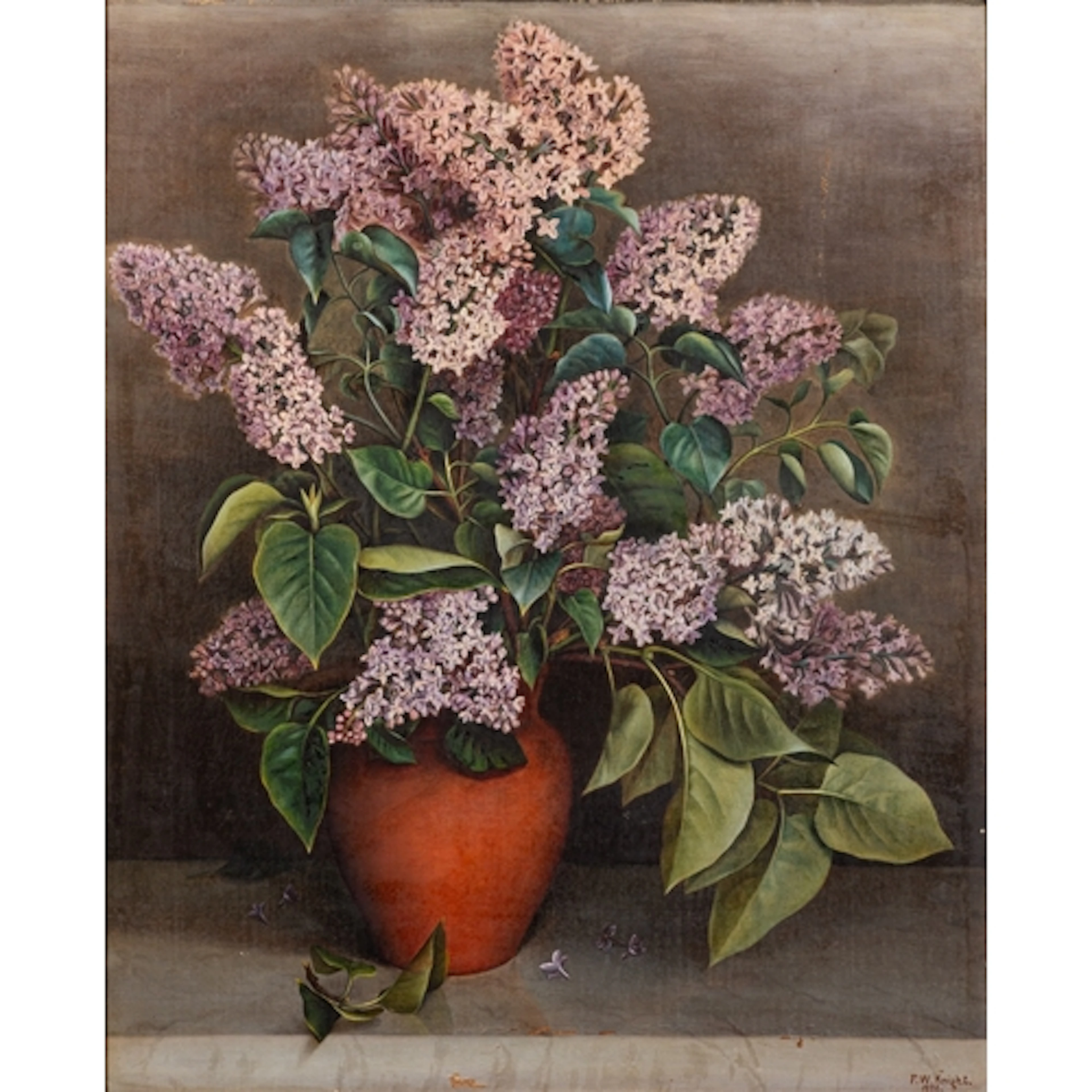 FW Knight, (Late 19th Century) - Still life study of cut Lil...