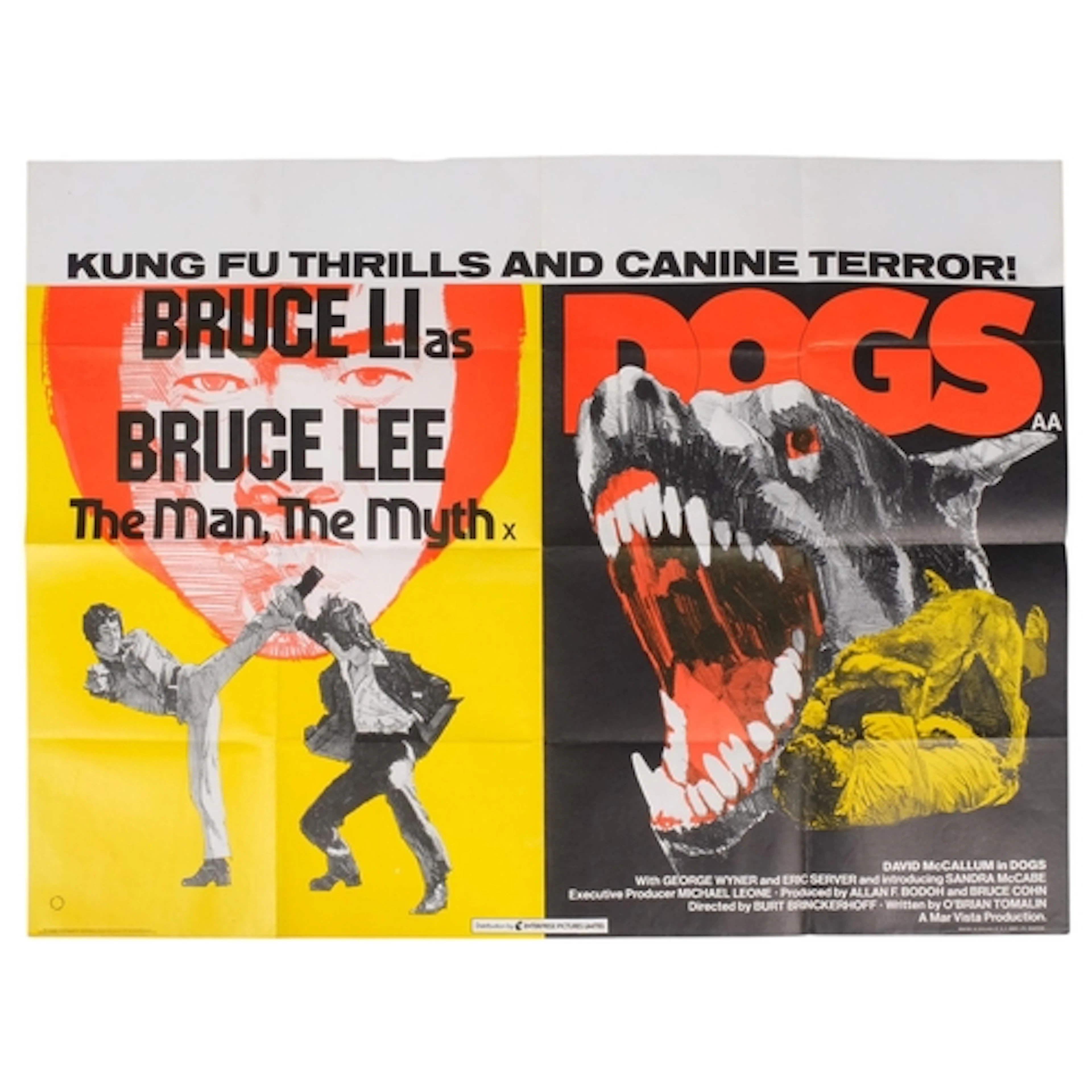 Bruce Lee, The Man, The Myth / Dogs (1970's) British Quad do...