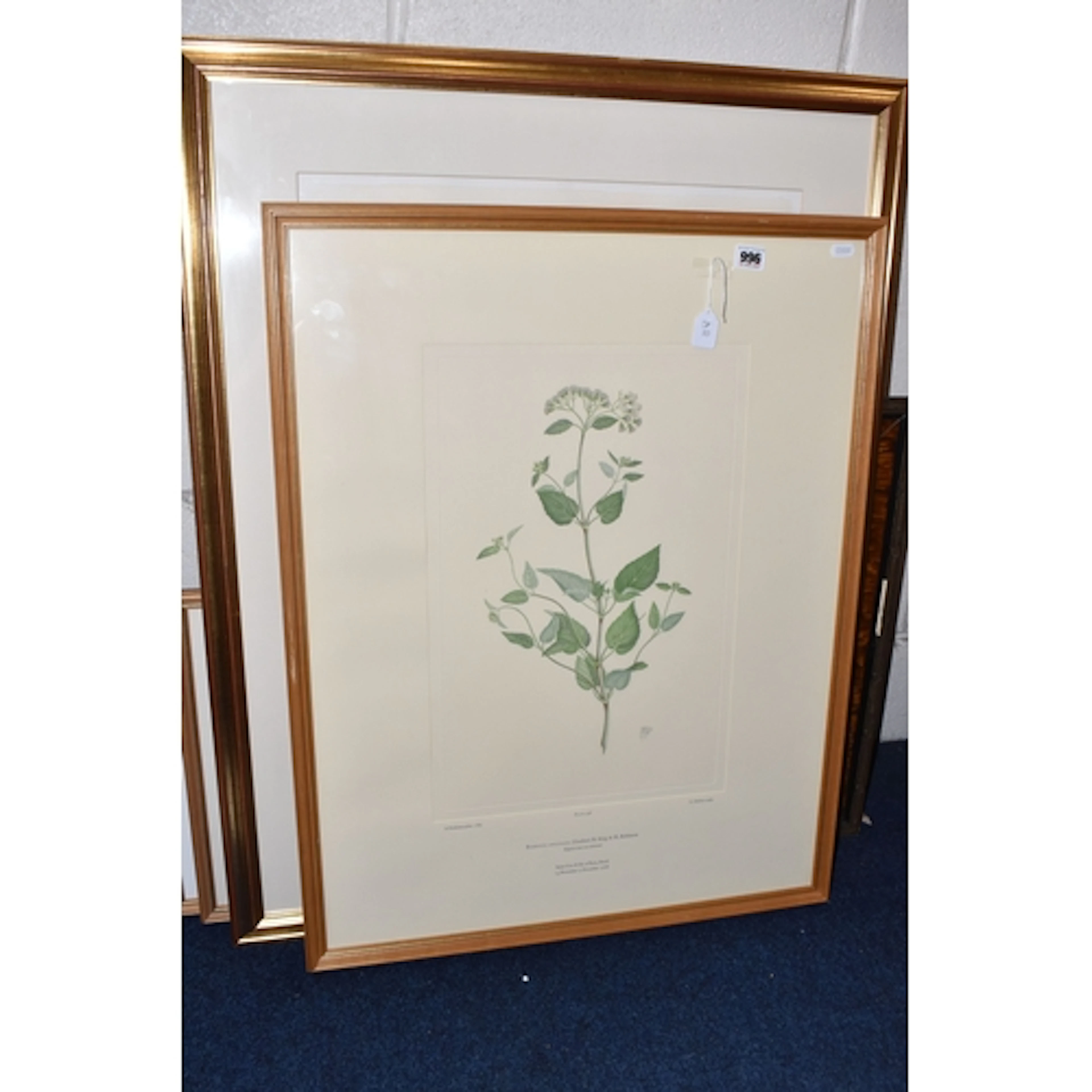 A SMALL QUANTITY OF PRINTS, to include two botanical studies...