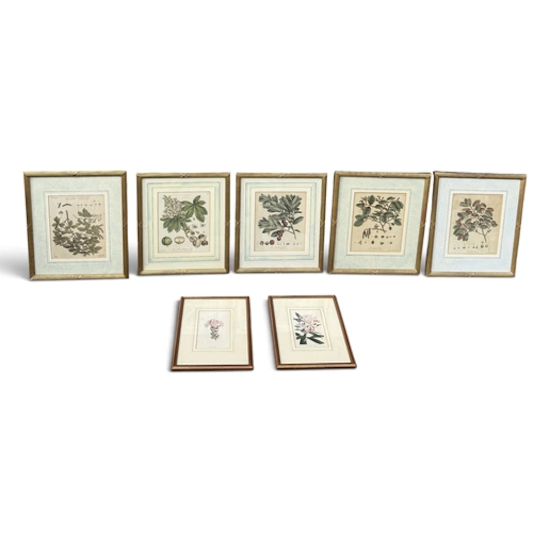 A SET OF FIVE 18TH CENTURY BOTANICAL ENGRAVINGS AFTER J.MILL...