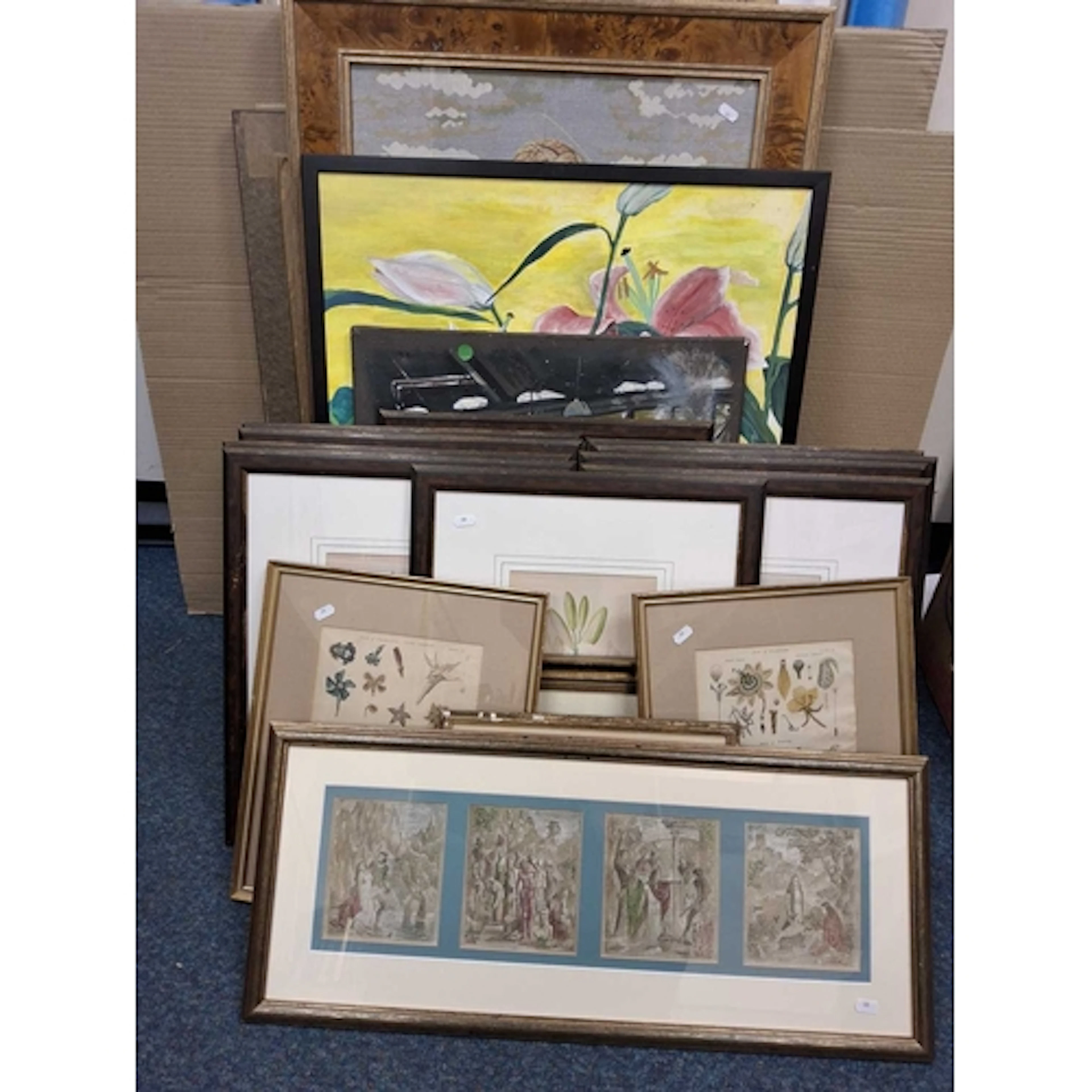 A GROUP OF MAINLY FRAMED BOTANICAL BOOK PLATES to include im...
