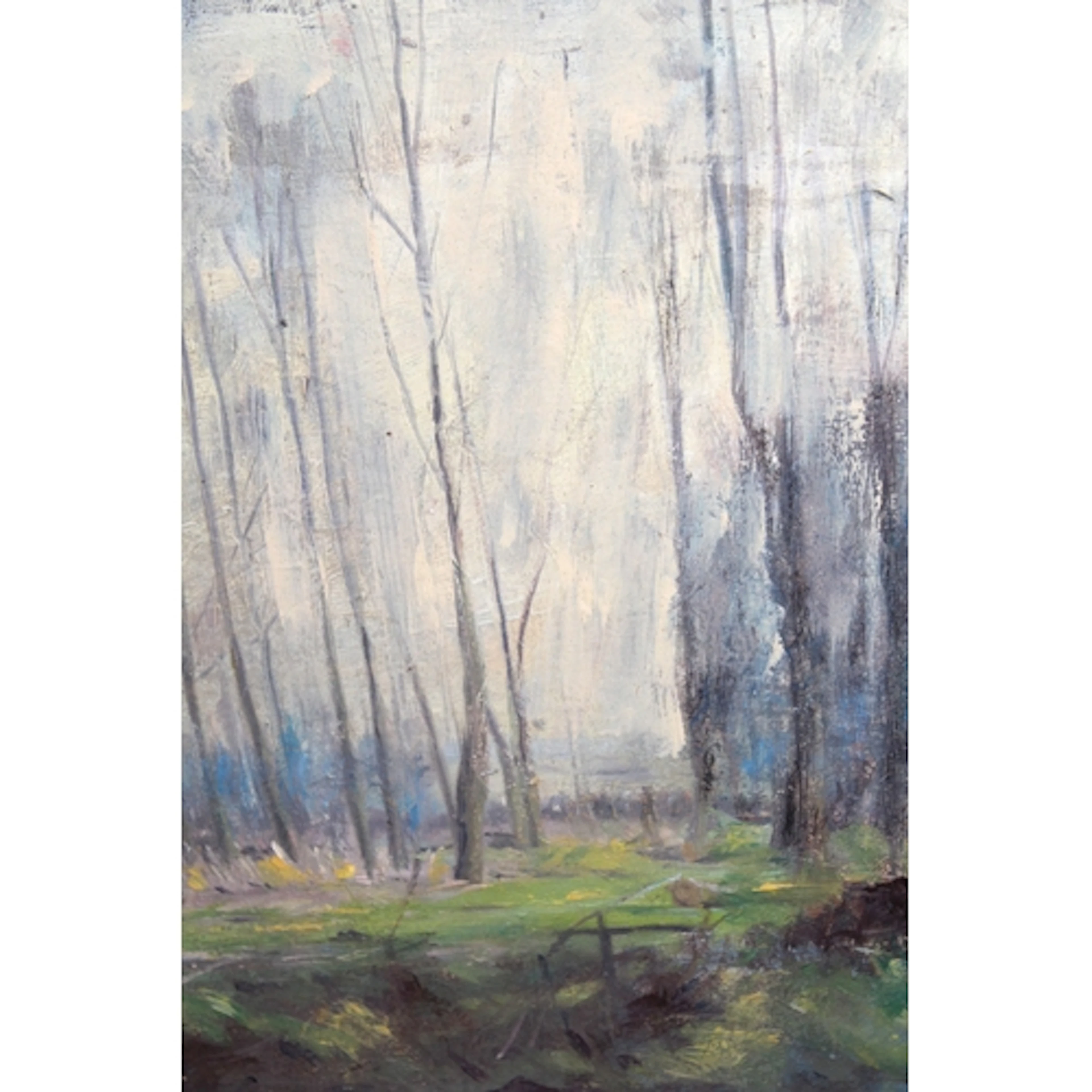 Early 20th Century Barbizon School, oil on millboard, woodla...