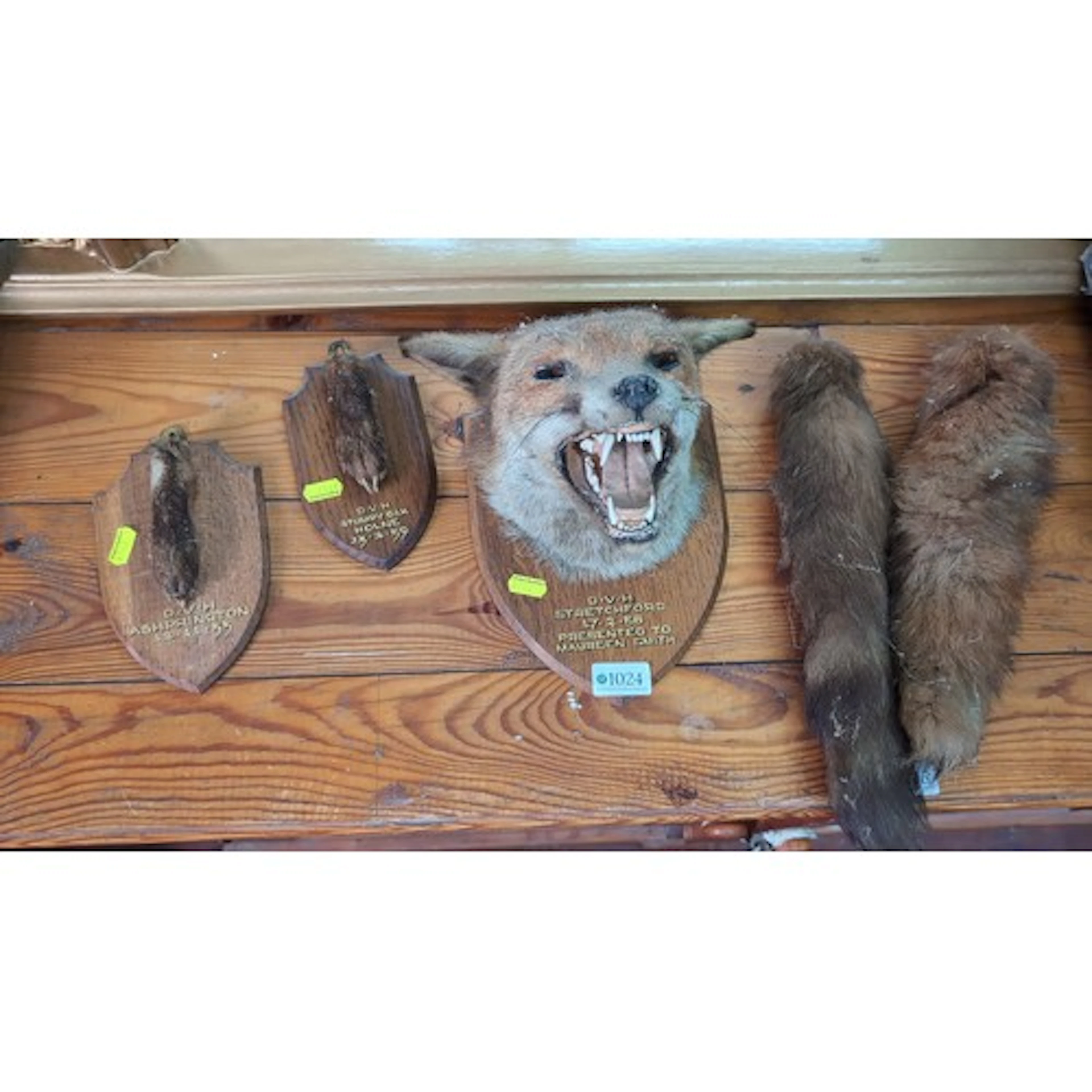 A group of mid-20th-century taxidermy trophies comprising a ...