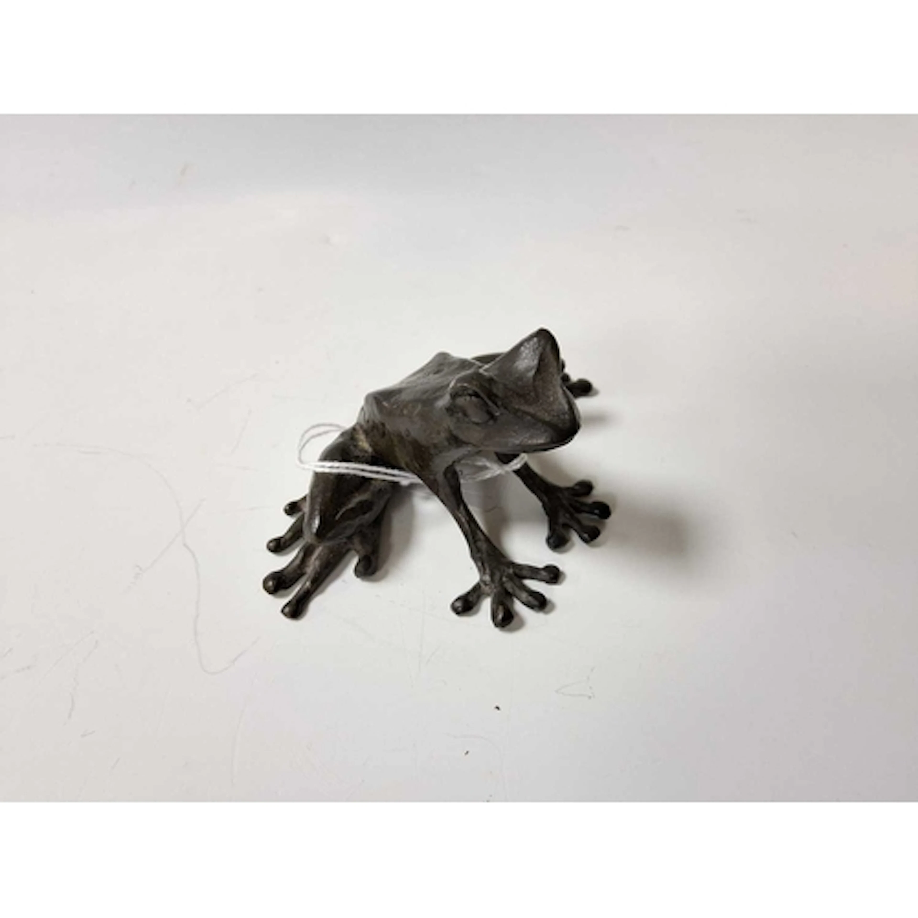 A BRONZE SCULPTURE OF A TREE FROG BY ARTIST PAUL JENKINS in ...