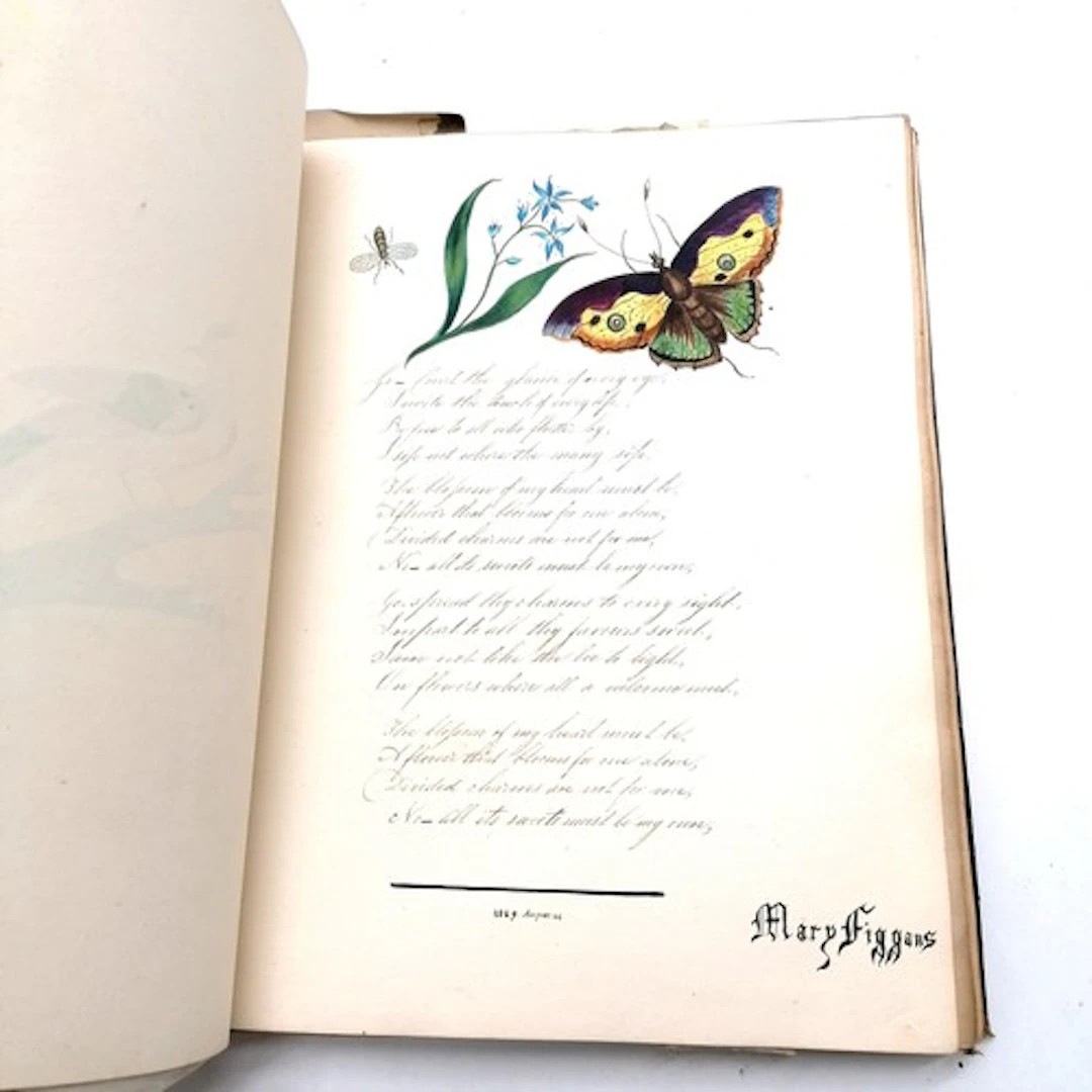 Antique 19th century Mary Figgans artists sketch book with n...
