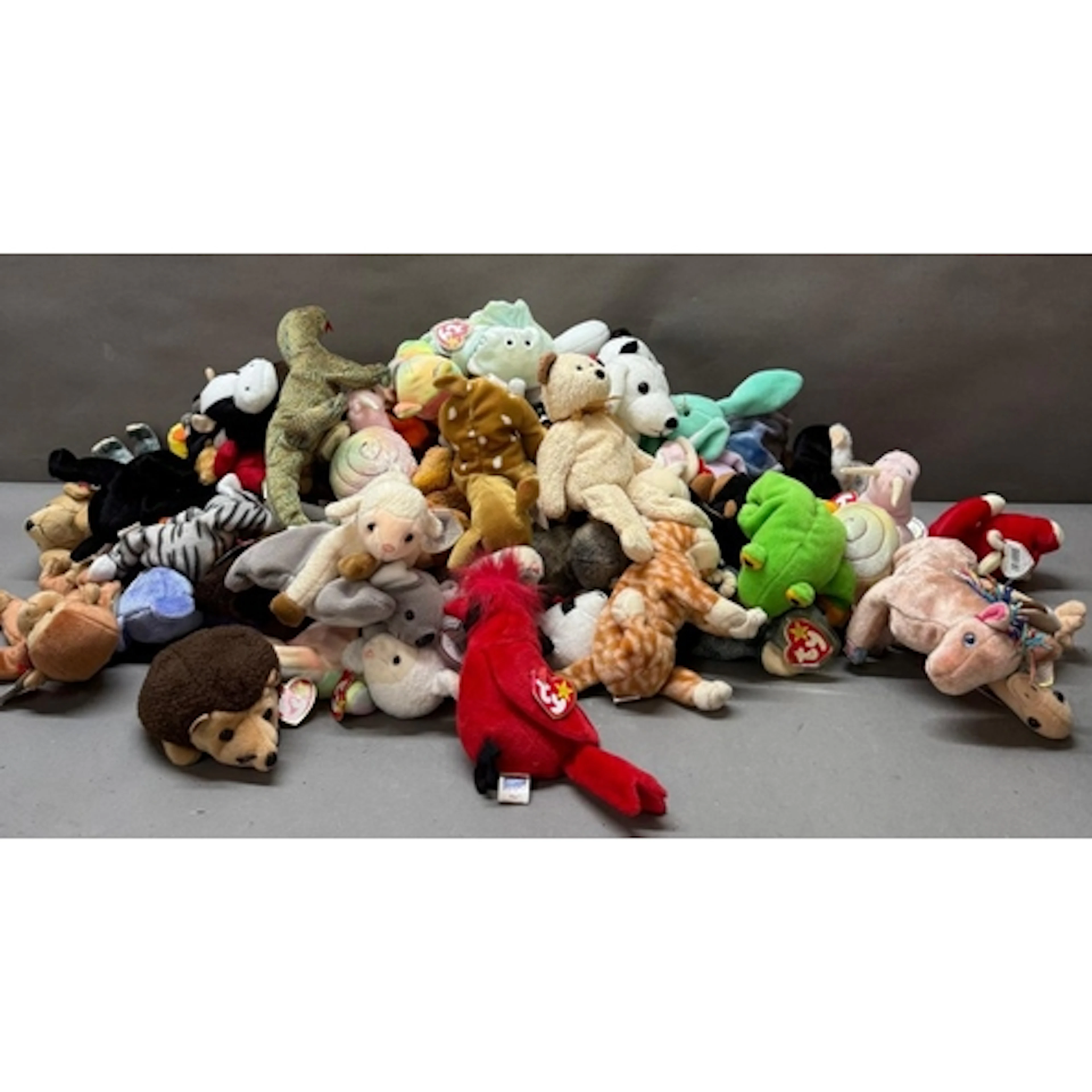 A large quantity of TY Beanie Babies.