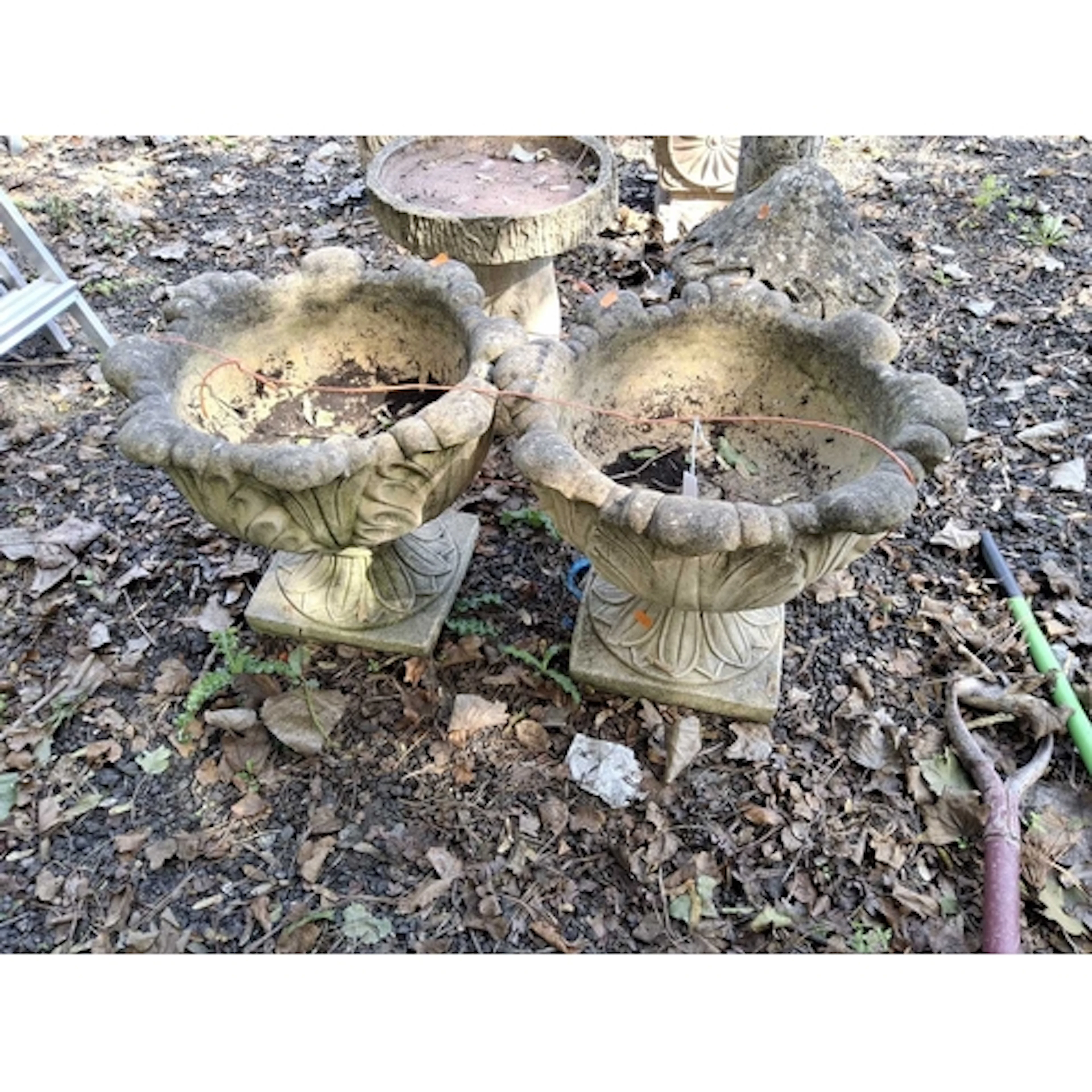 A PAIR OF CONCRETE PLANTERS in the form of acanthus leaf bow...