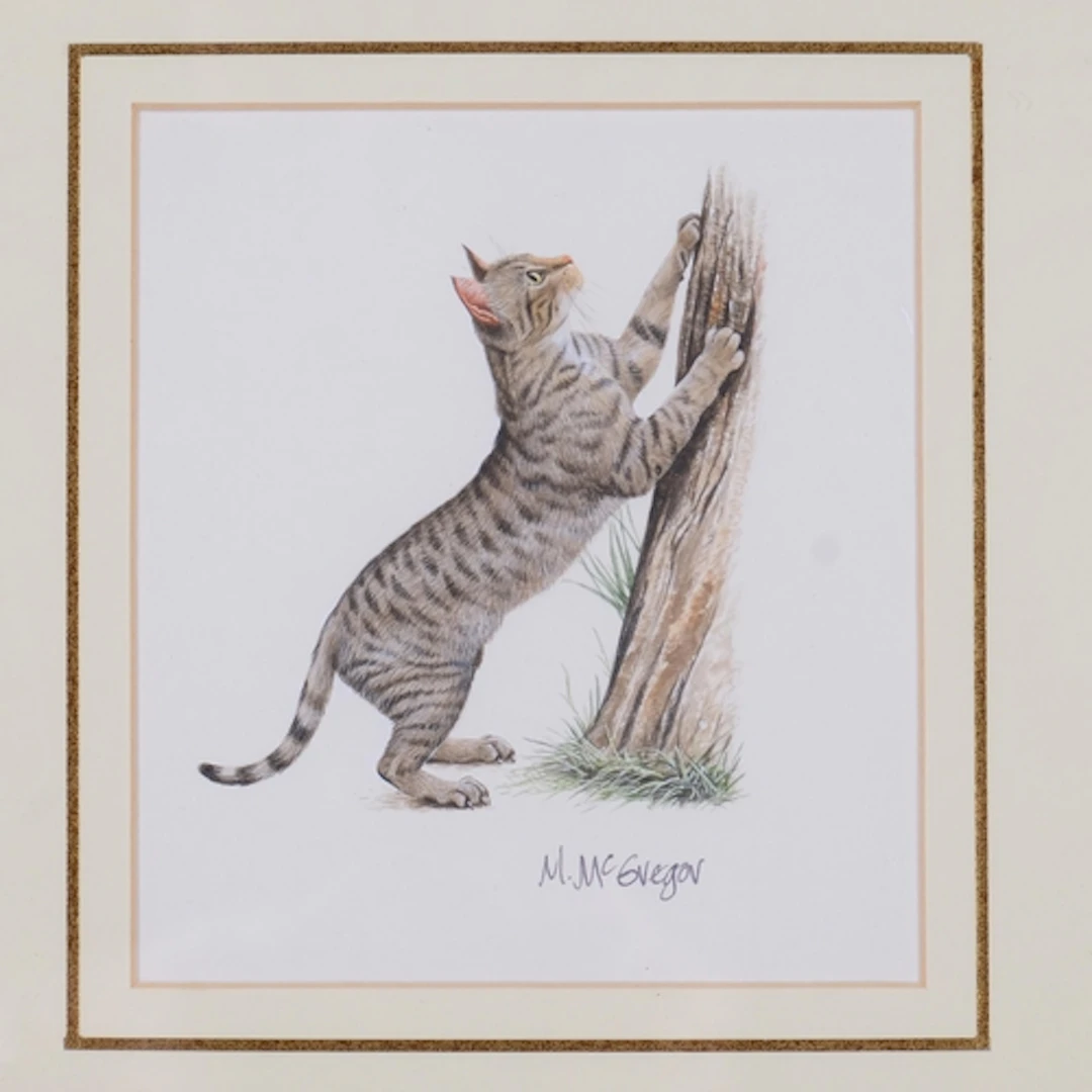 M.McGregor (XX-XXI), signed print on paper, Tabby Cat Scratc...