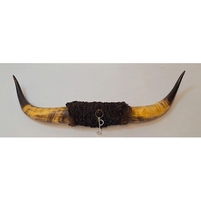 Set of Mounted Wall Hanging Cattle Horns approx. 62cm W