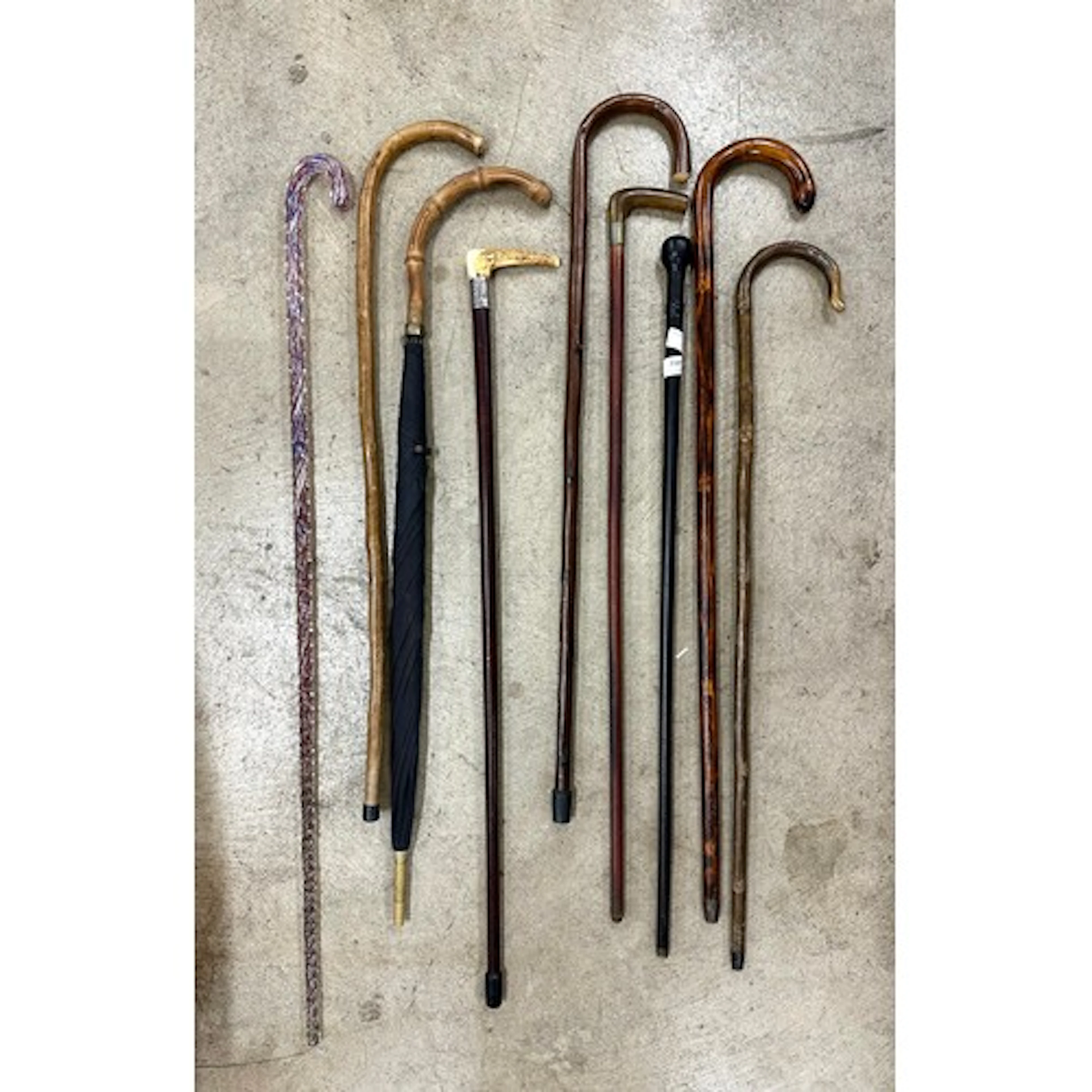 Eight wooden walking sticks, one with silver collar, and a g...
