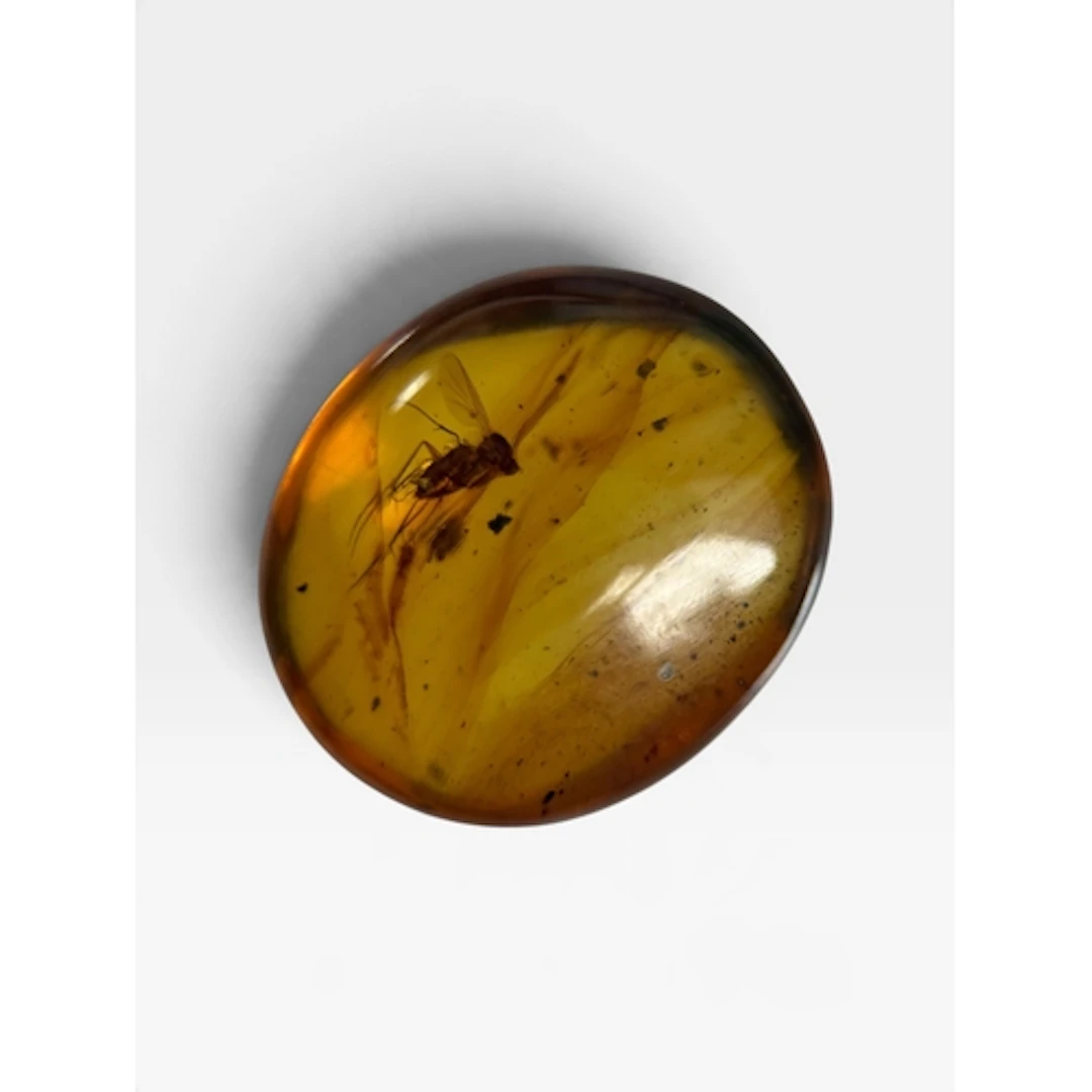 A WINGED INSECT FOSSIL IN AMBER A highly detailed flying ins...