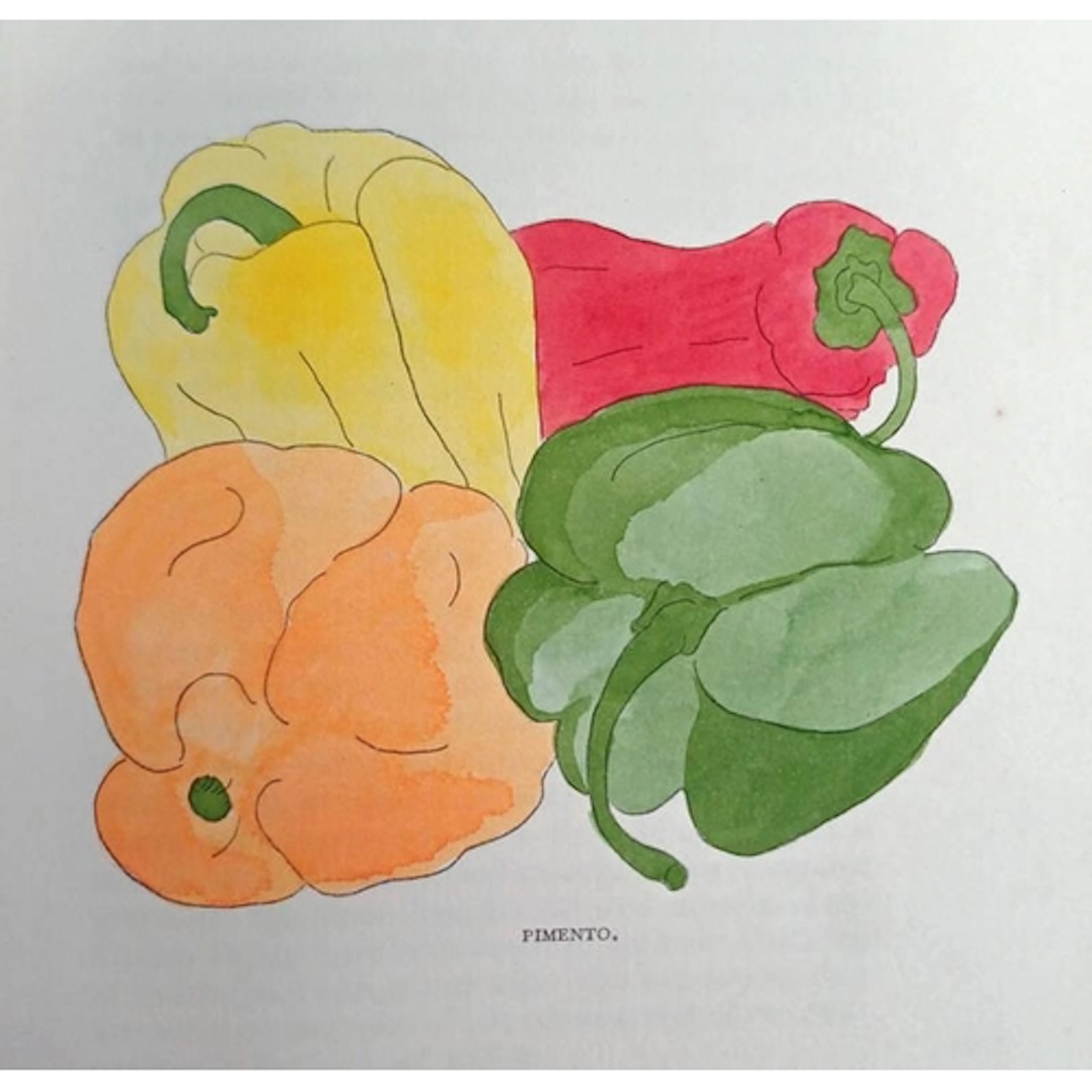 HERBS, SALADS AND SEASONINGS BY X. MARCEL BOULESTIN AND JASO...