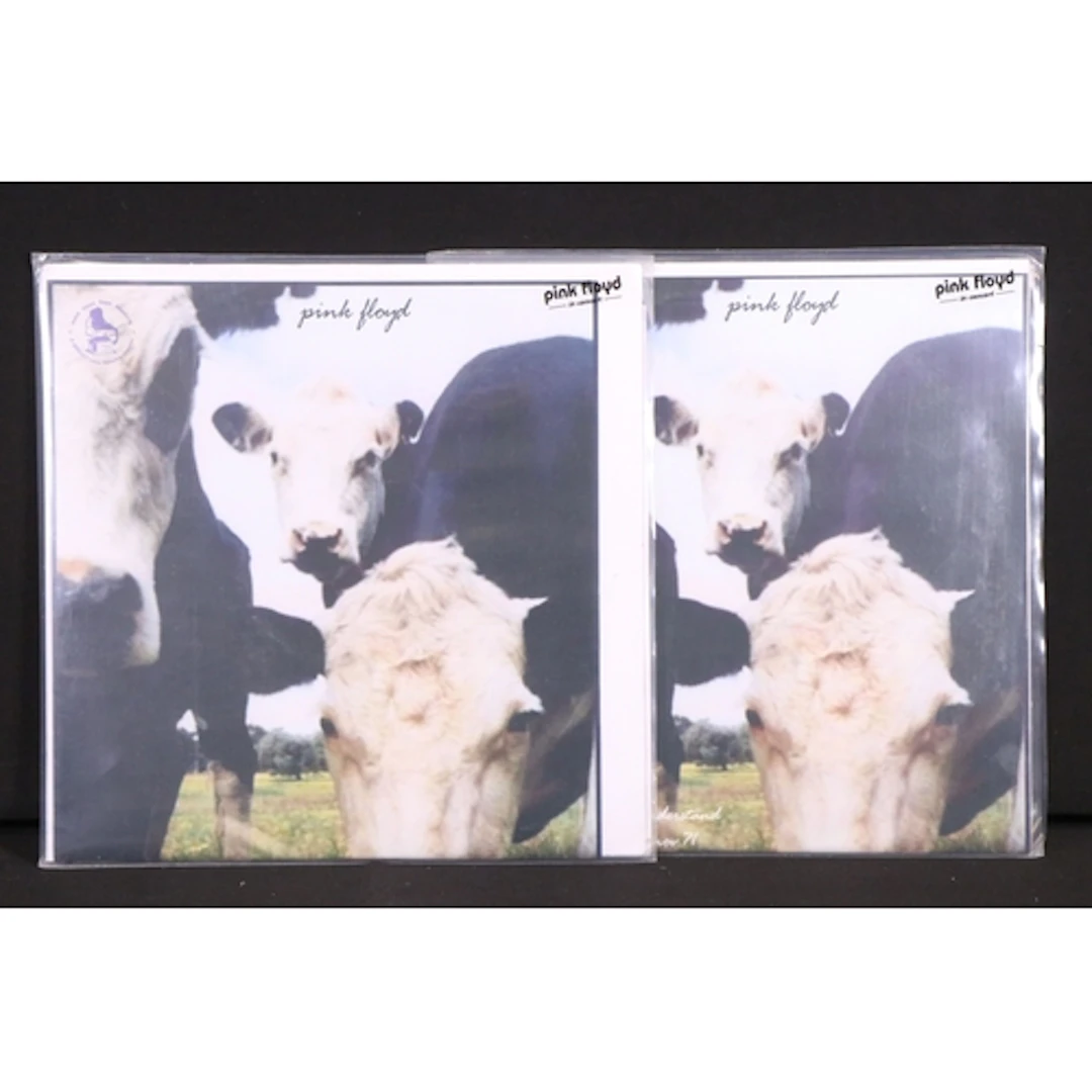 Vinyl - 2 Pink Floyd private pressing LP’s to include: For R...