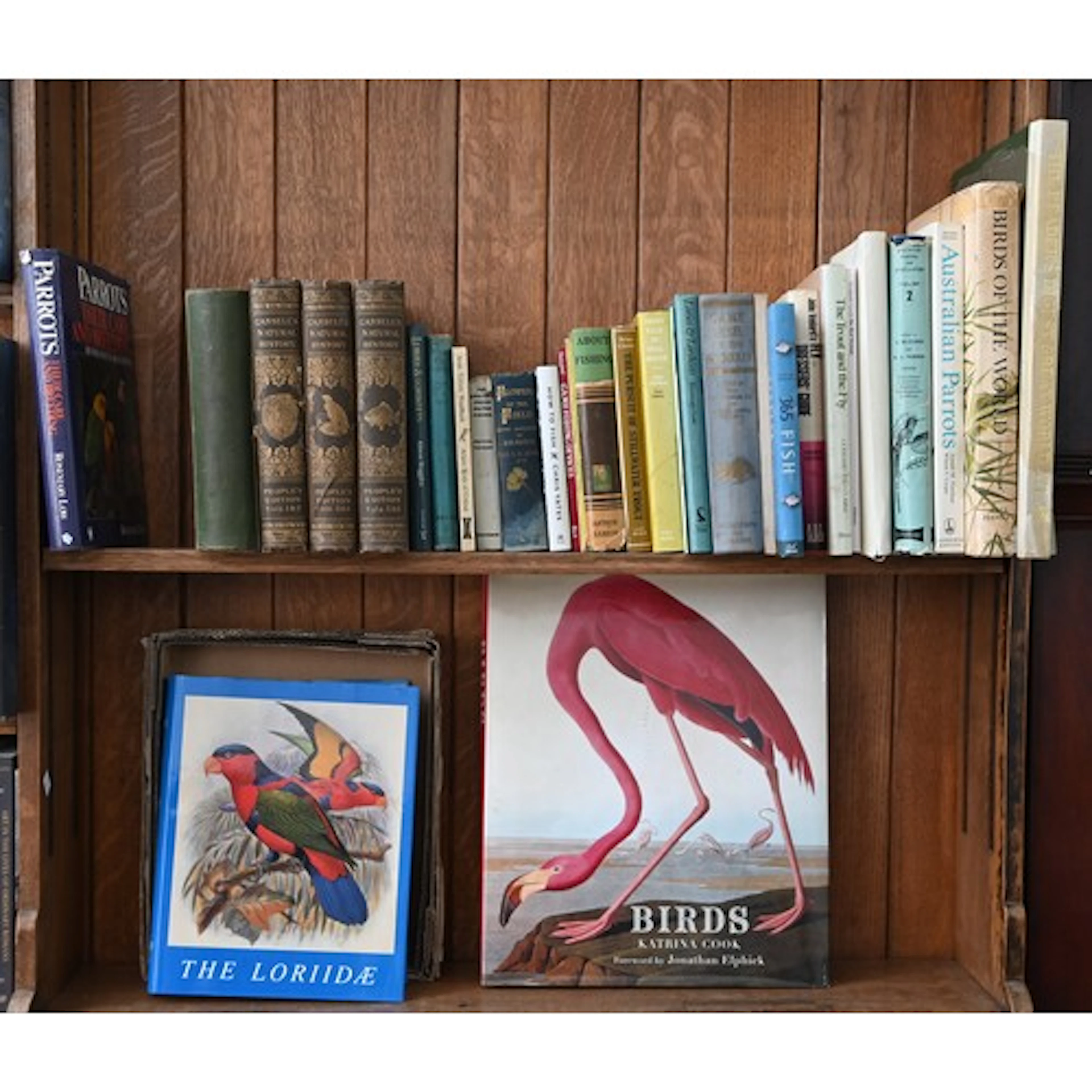 Books. Three shelves of natural history, mostly ornithology,...