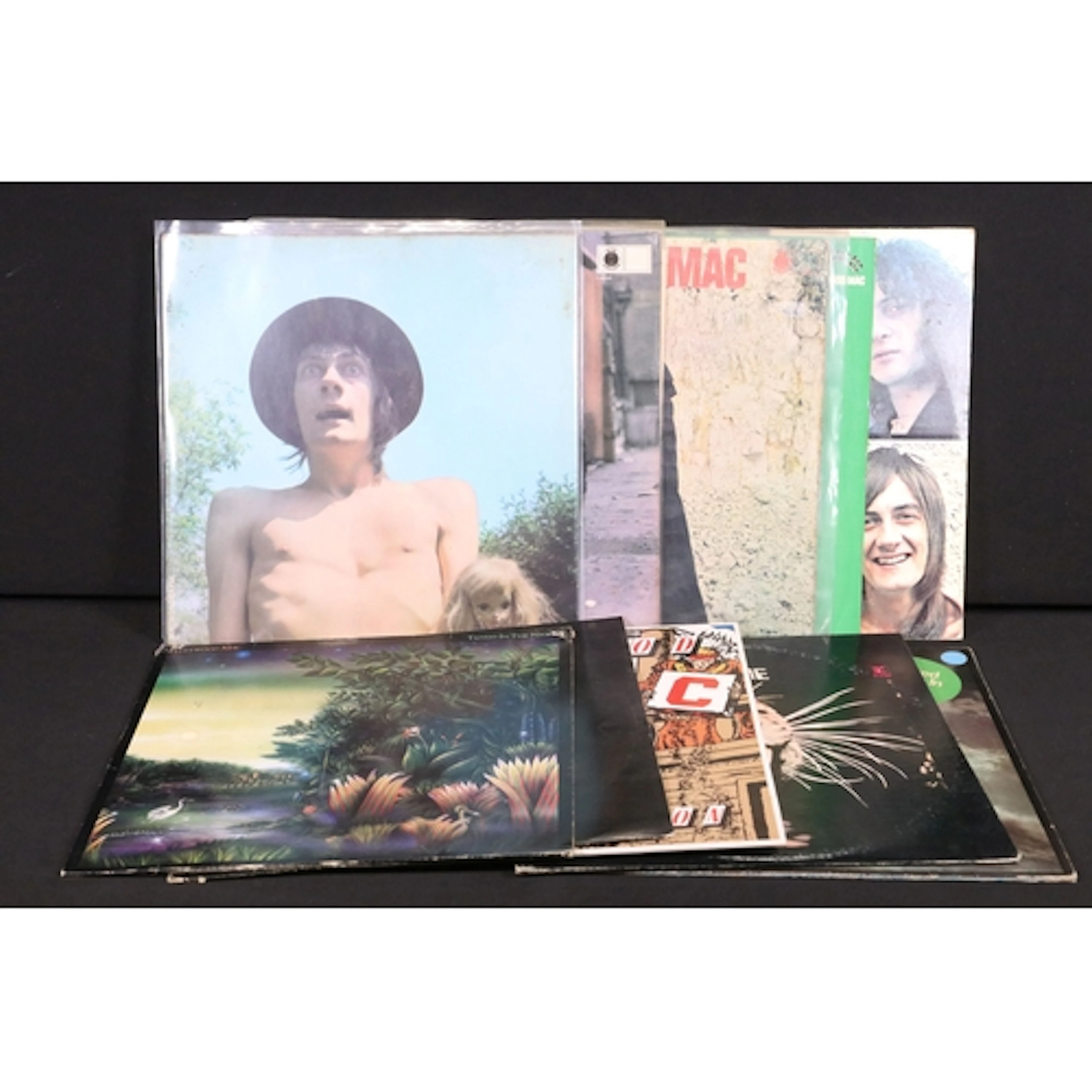 Vinyl - 8 Fleetwood Mac LPs, and 2 Peter Green LPs to includ...