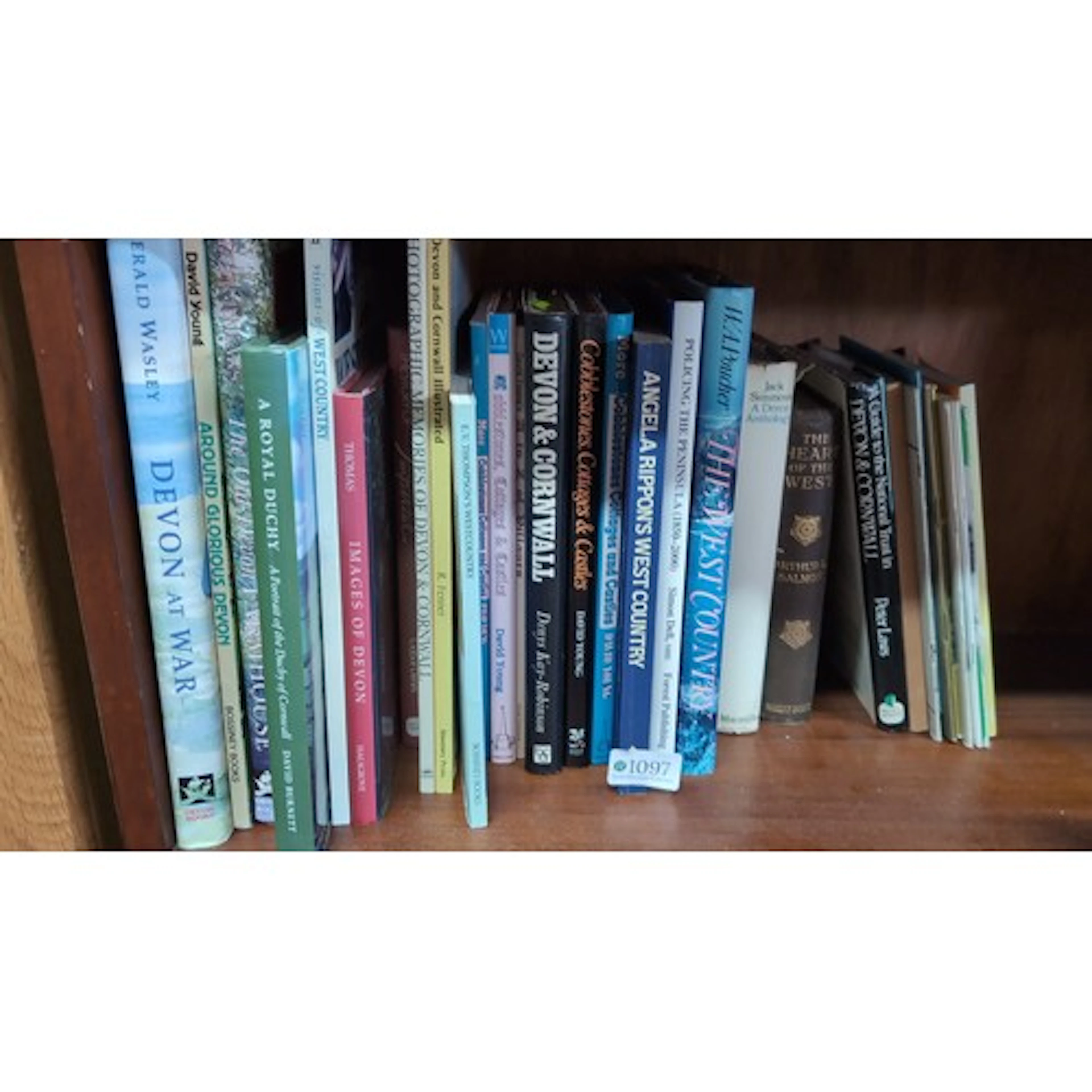 A collection of illustrated topographical and local-history ...