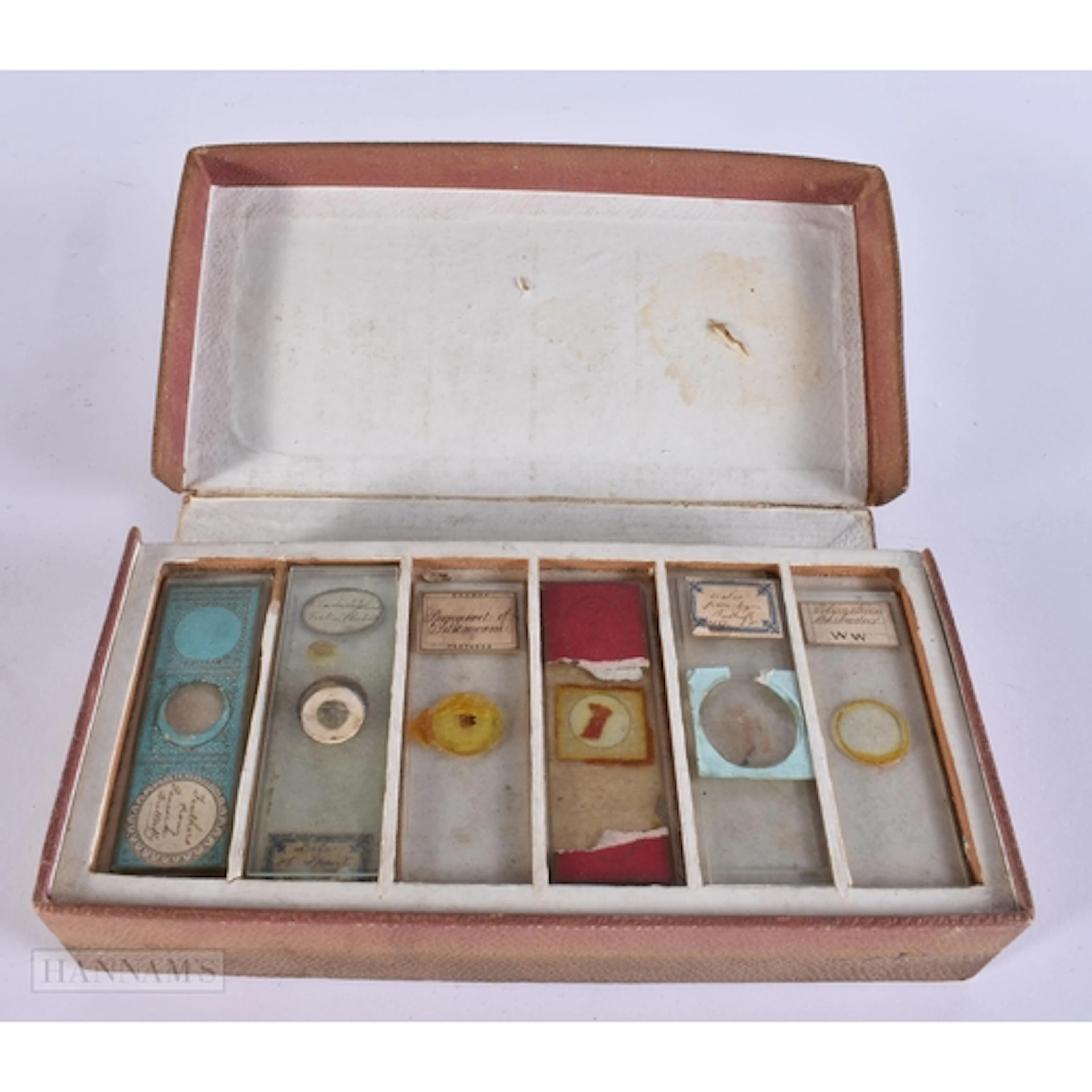 Antique Microscope Slides W/ Box And Specimens. Box 21 cm x ...